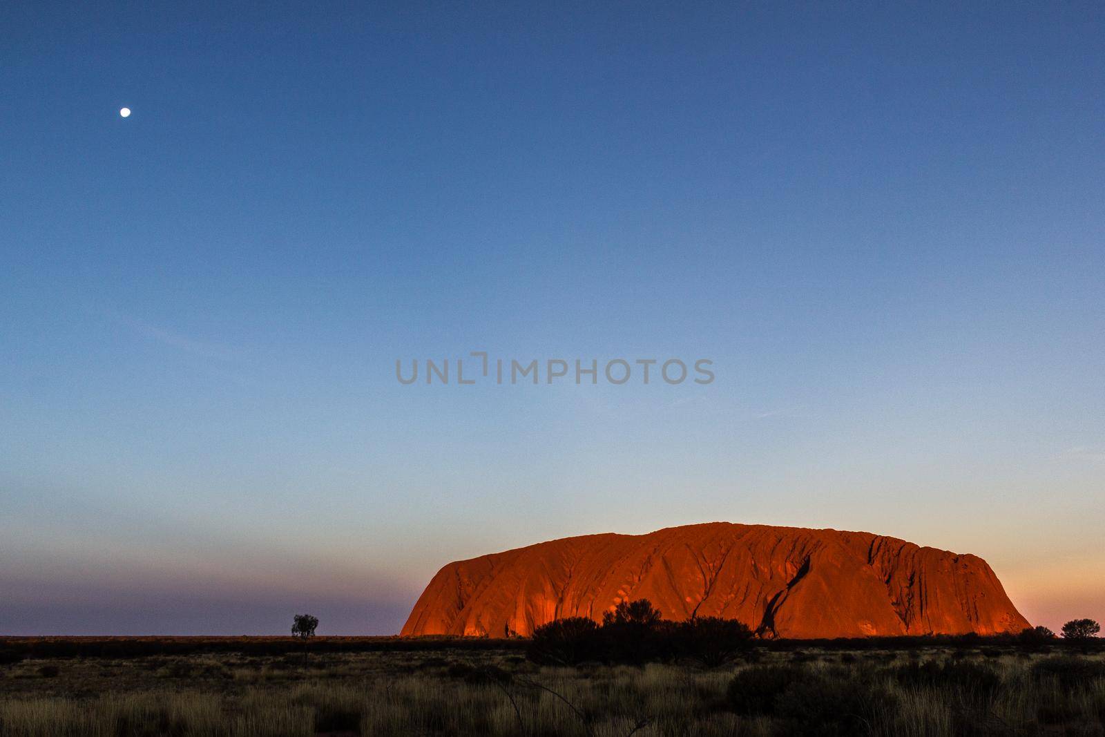sunset at Uluru with the moon, ayers Rock, the Red Center of Australia, Australia by bettercallcurry