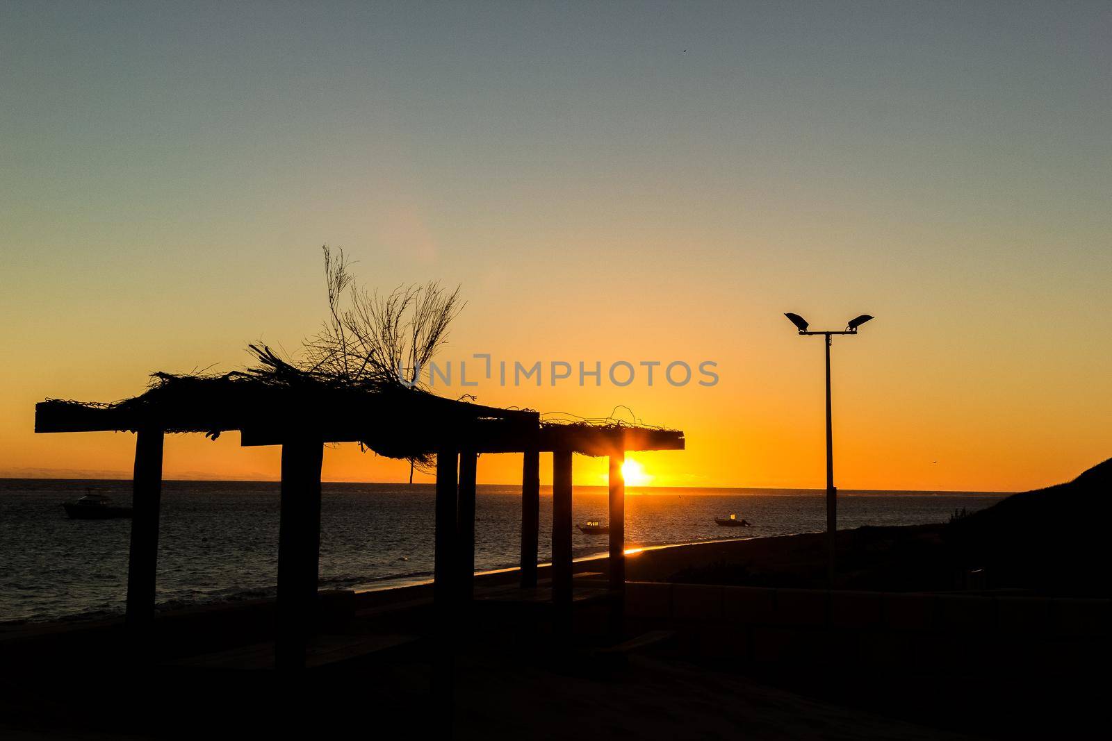 Natural Sunset Sunrise over a beach with birds at the sun, australia