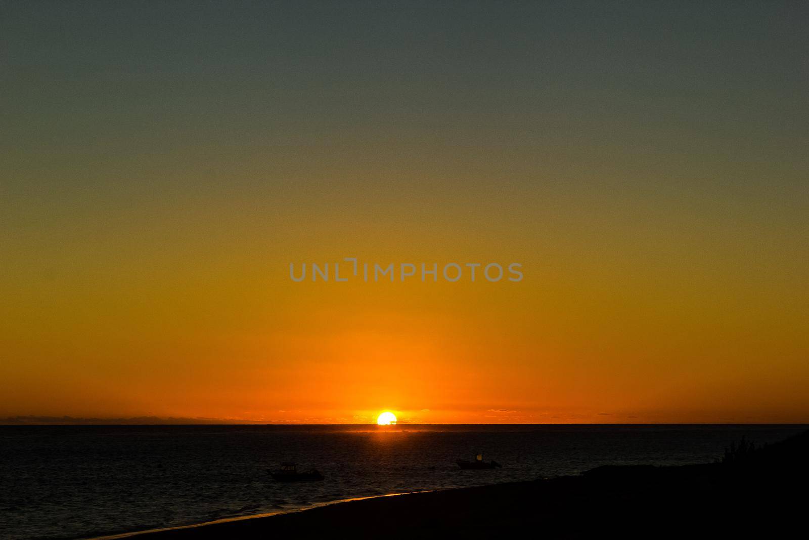 Natural Sunset Sunrise over a beach with birds at the sun, australia
