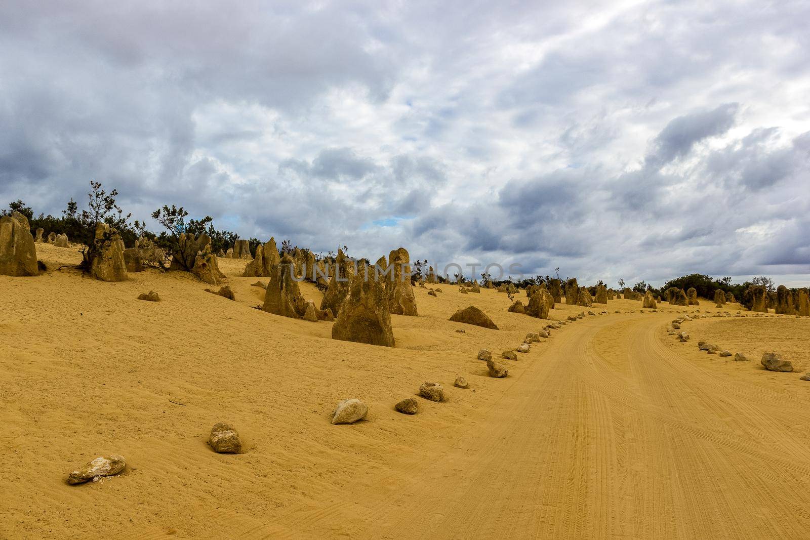 The Pinnacles Desert in the heart of Nambung National Park in Western Australia by bettercallcurry