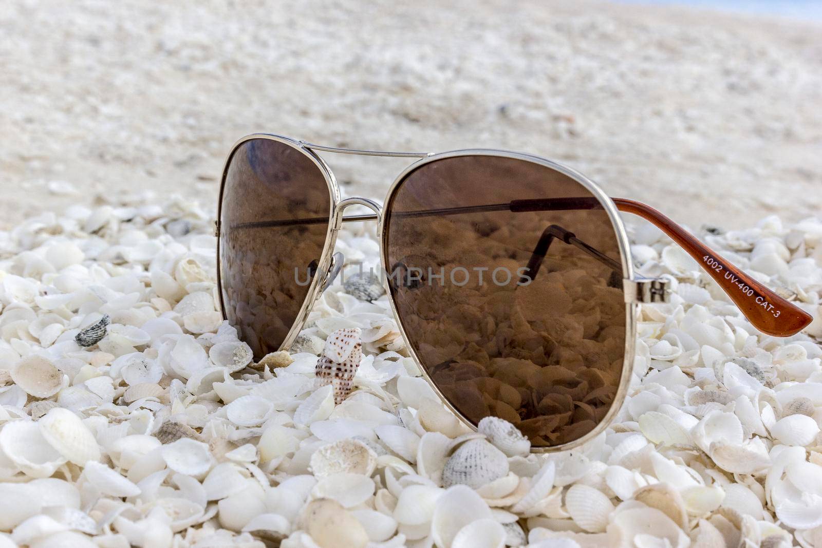 Sunglasses at a beach full of shells, SharkBay, Western Australia