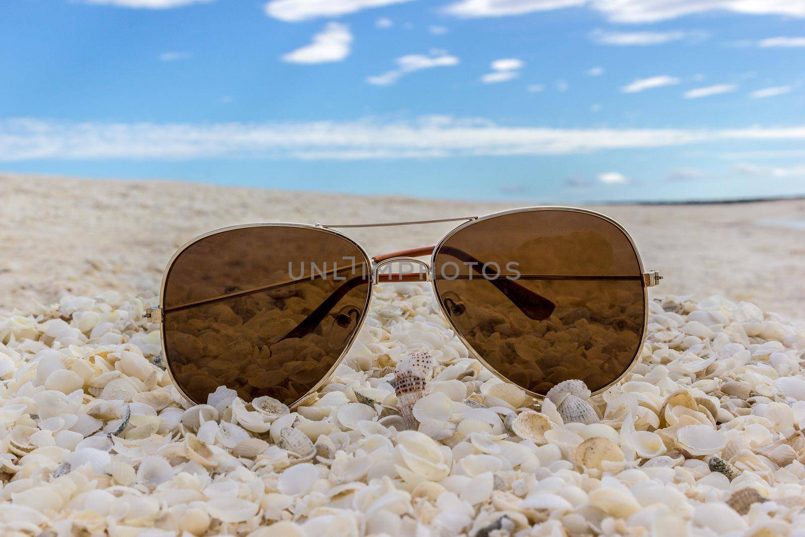 Sunglasses at a beach full of shells, SharkBay, Western Australia