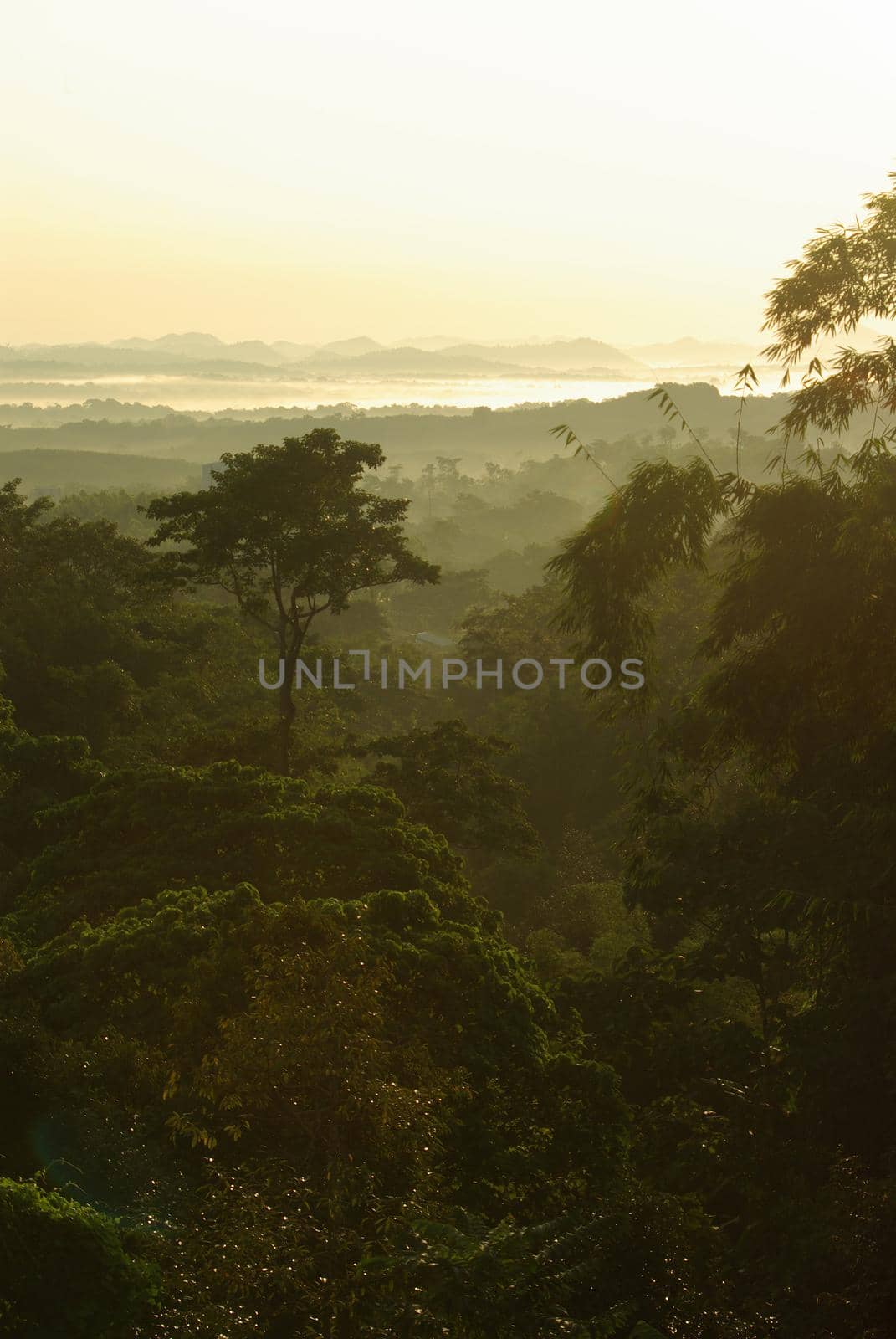 mist on sky over the mountain in the morning light of the countryside by Satakorn