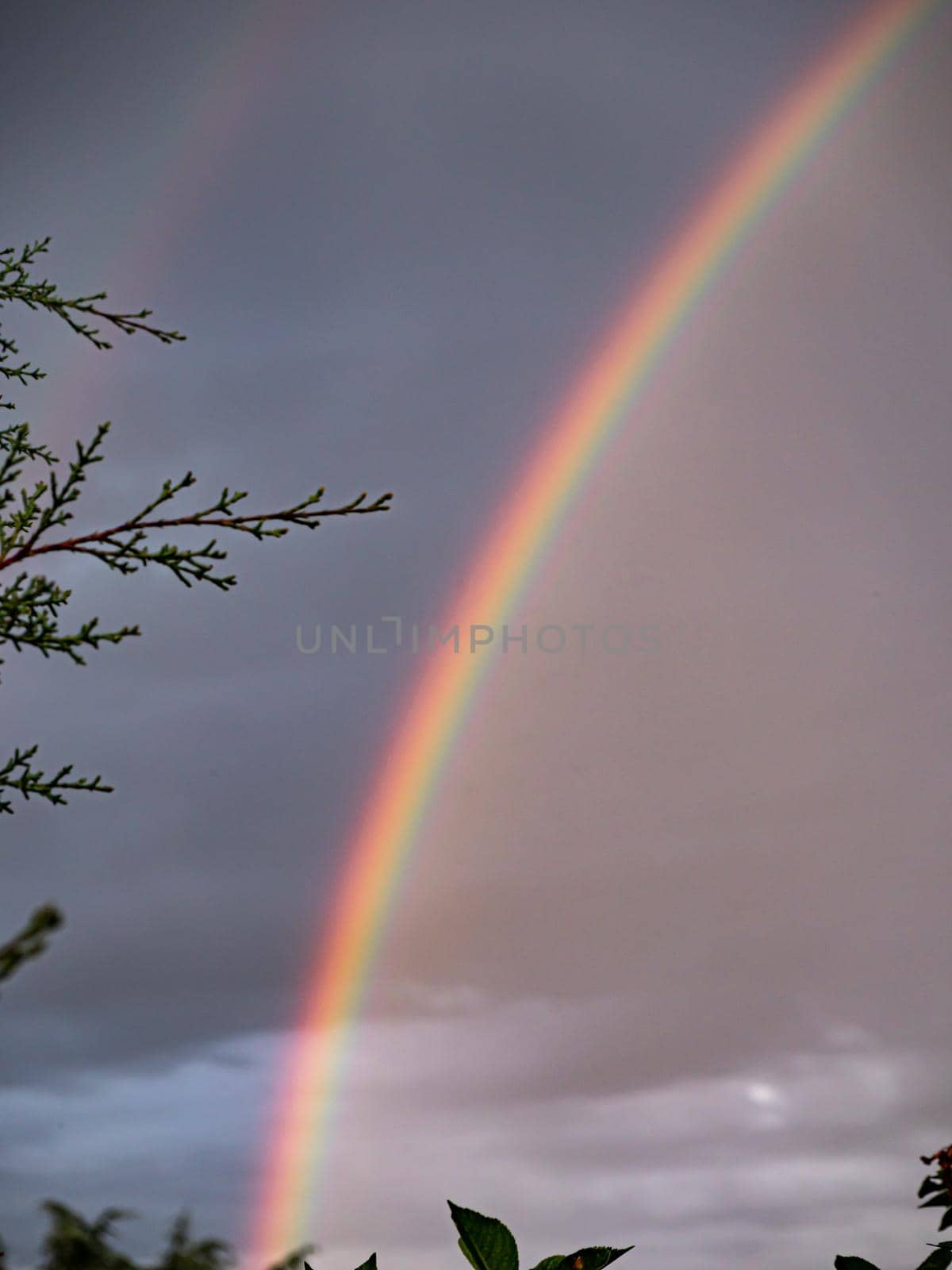 rainbow on the clouds sky, colorful rainbow