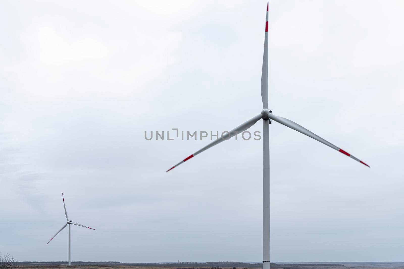 wind turbines in a field against the sky. High quality photo