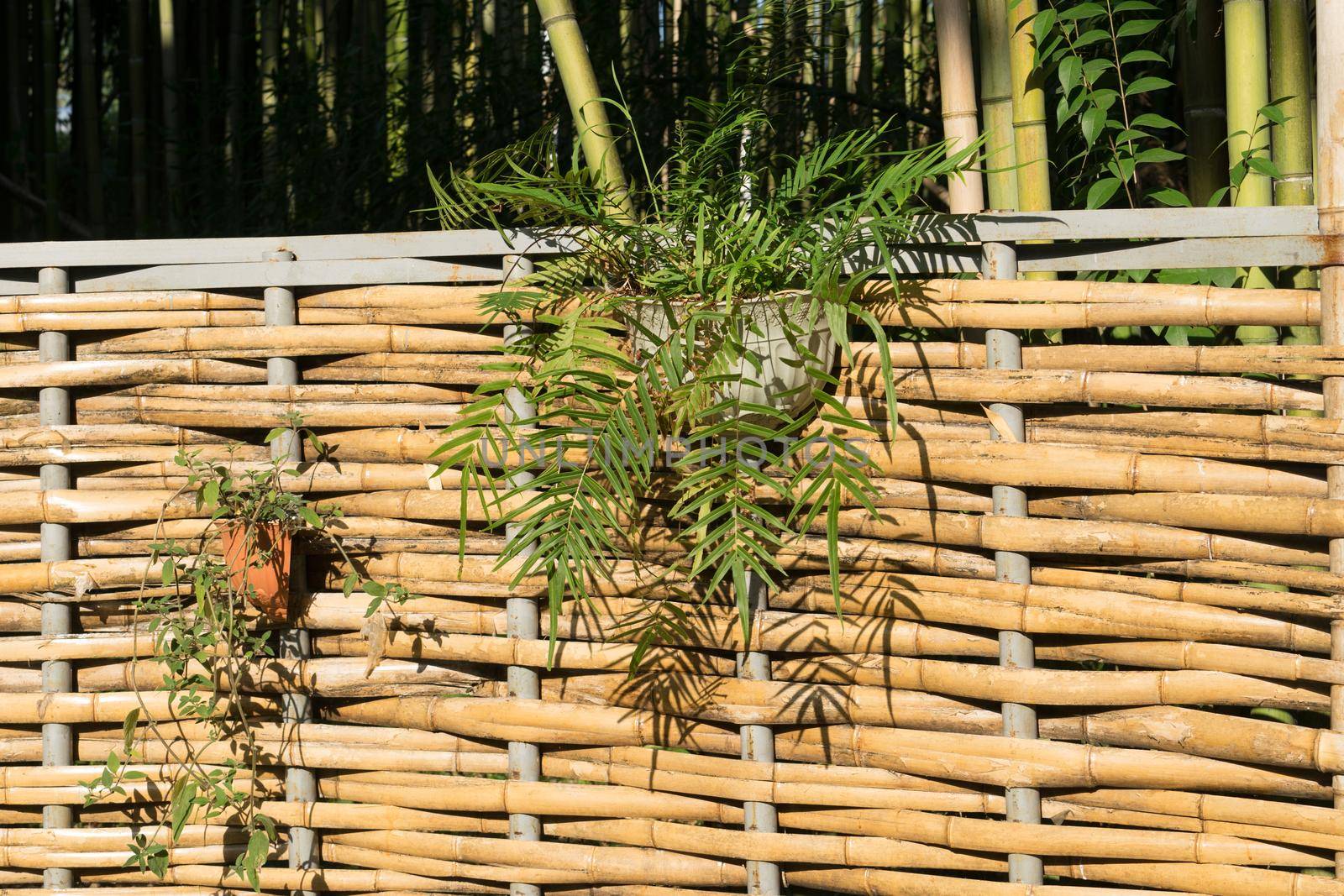 A fence of bamboo weave with hanging baskets with flowers