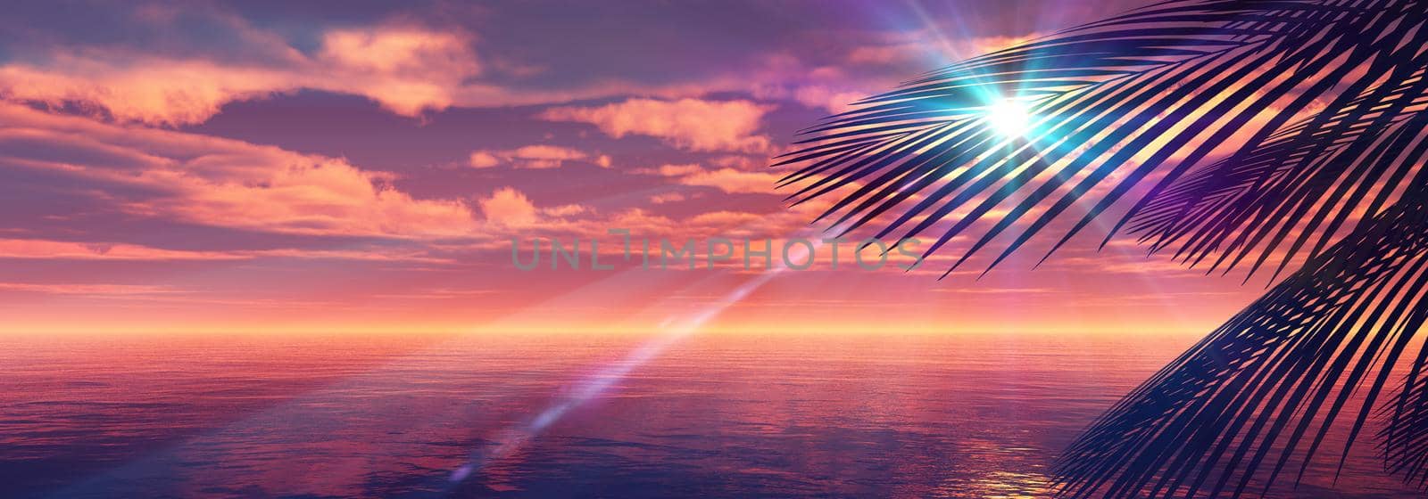 sunset sea palm landscape illustration by alex_nako