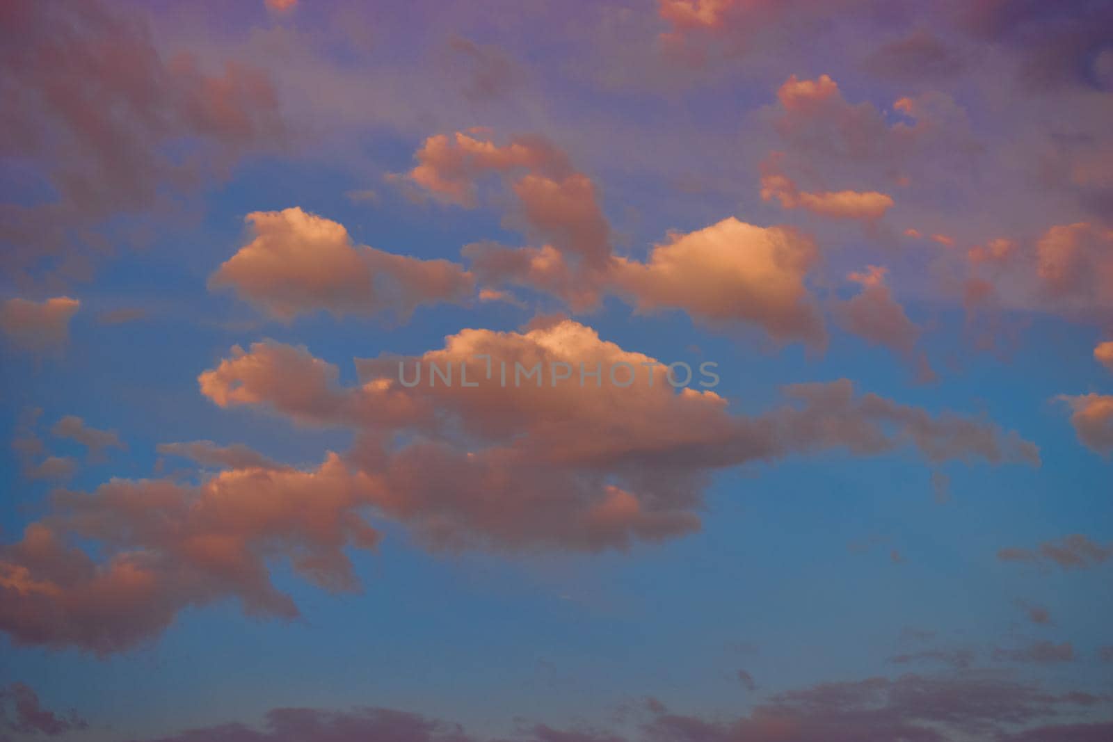 magical pink clouds at sunset on background of blue sky.