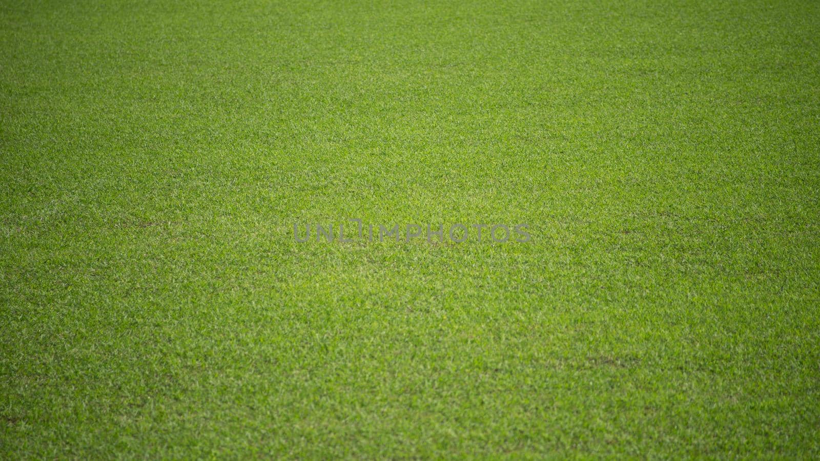 Natural background of a green football pitch of grass.