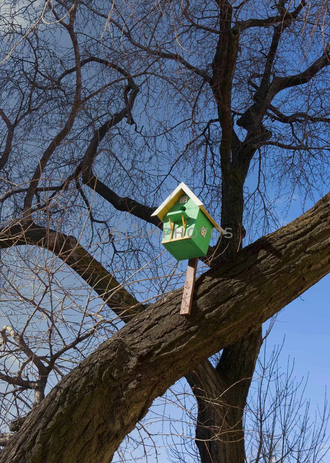 Urban landscape with bird houses on the background of trees without leaves.