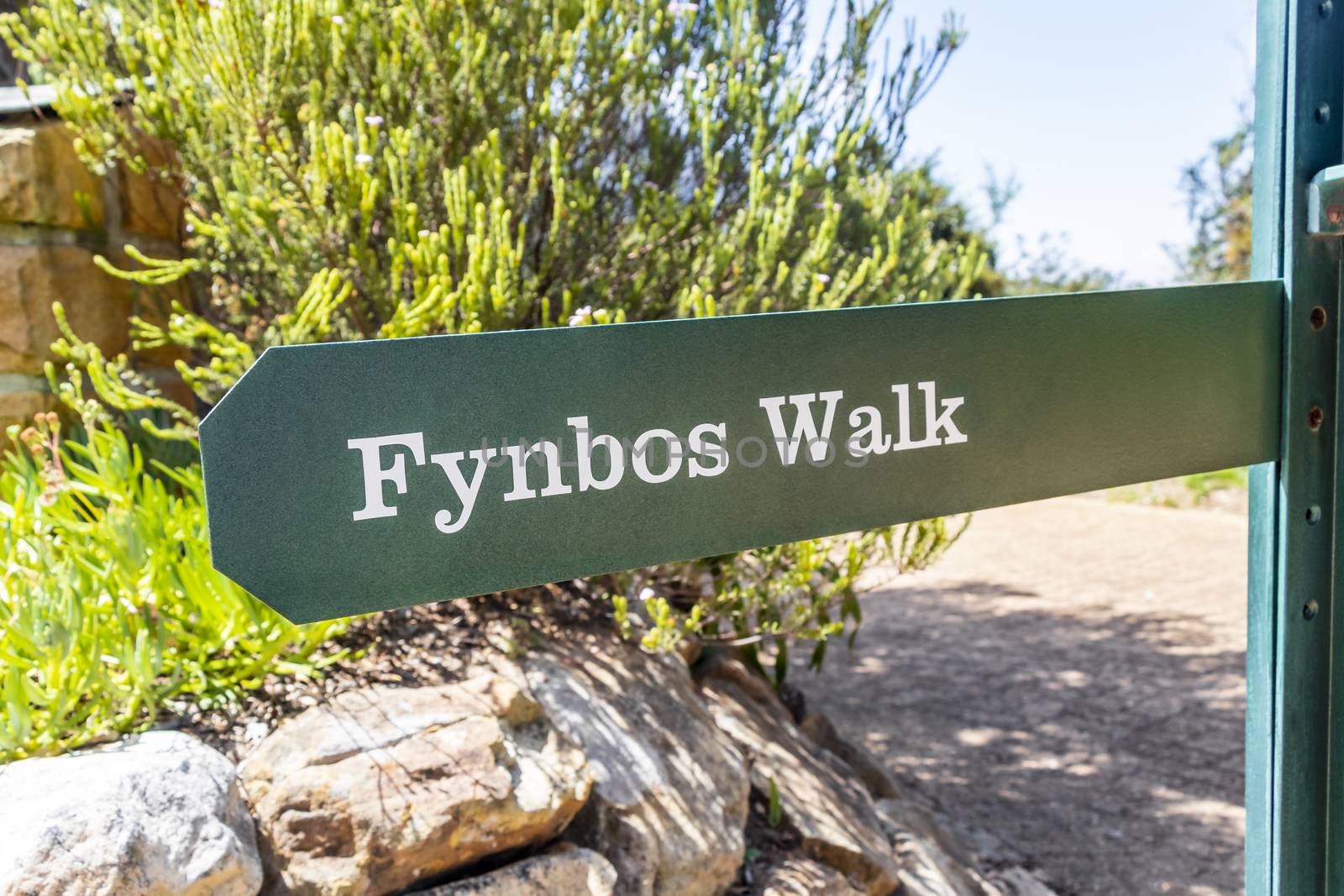 Fynbos Walk green turquoise sign in Kirstenbosch, Cape Town, South Africa.