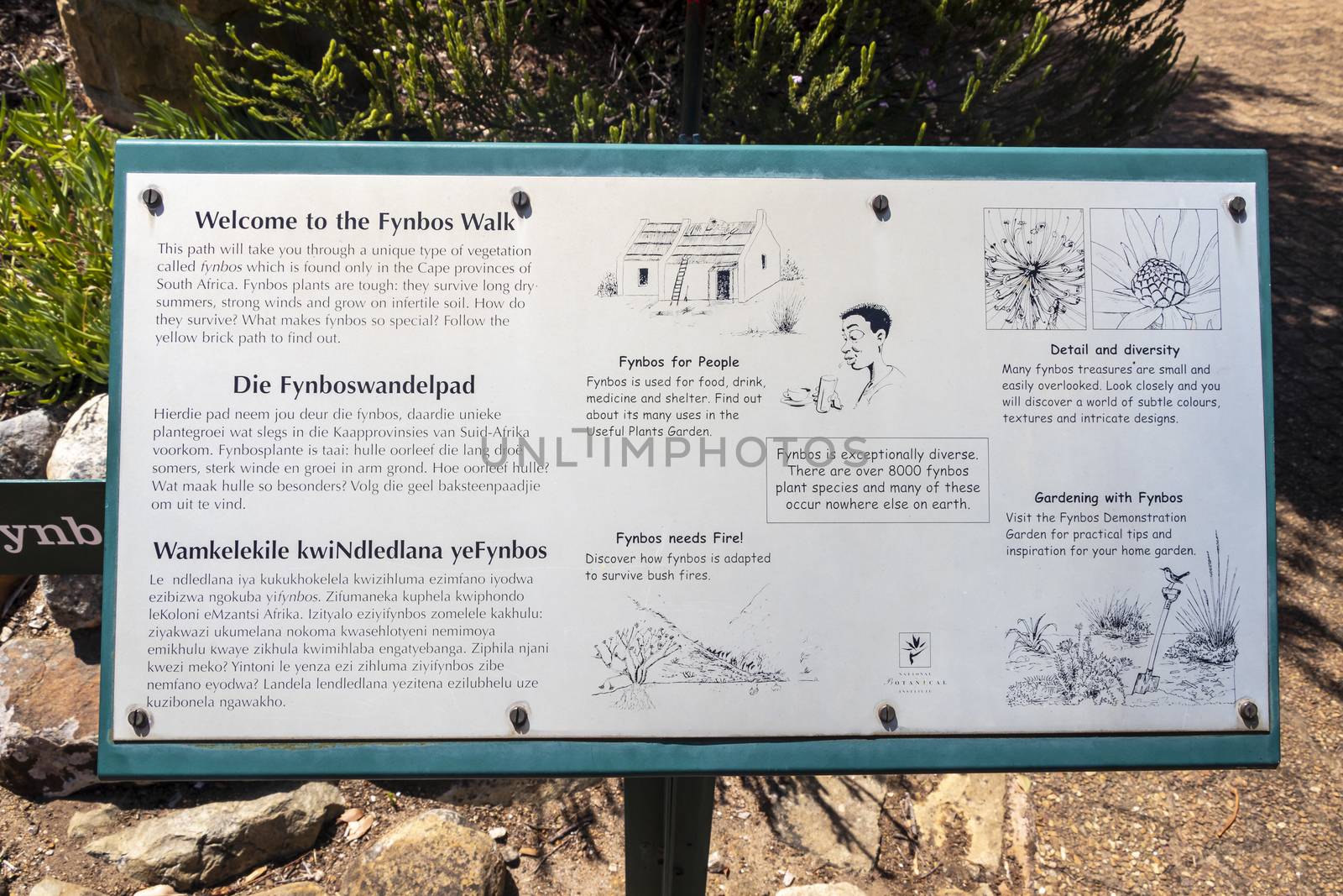 Fynbos Walk green turquoise information sign in Kirstenbosch, Cape Town, South Africa.