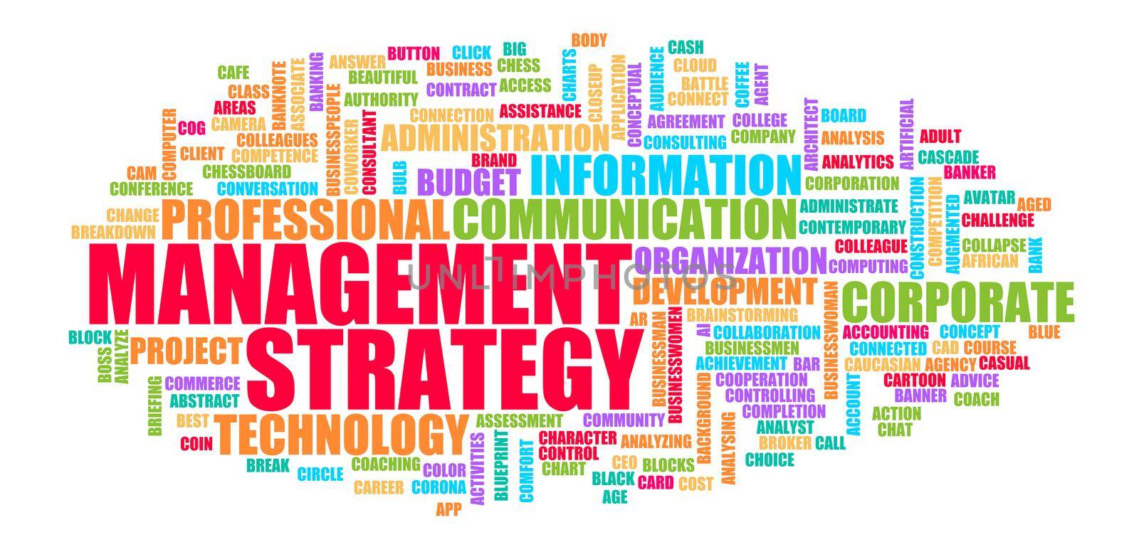 Management Strategy Business Success as a Concept