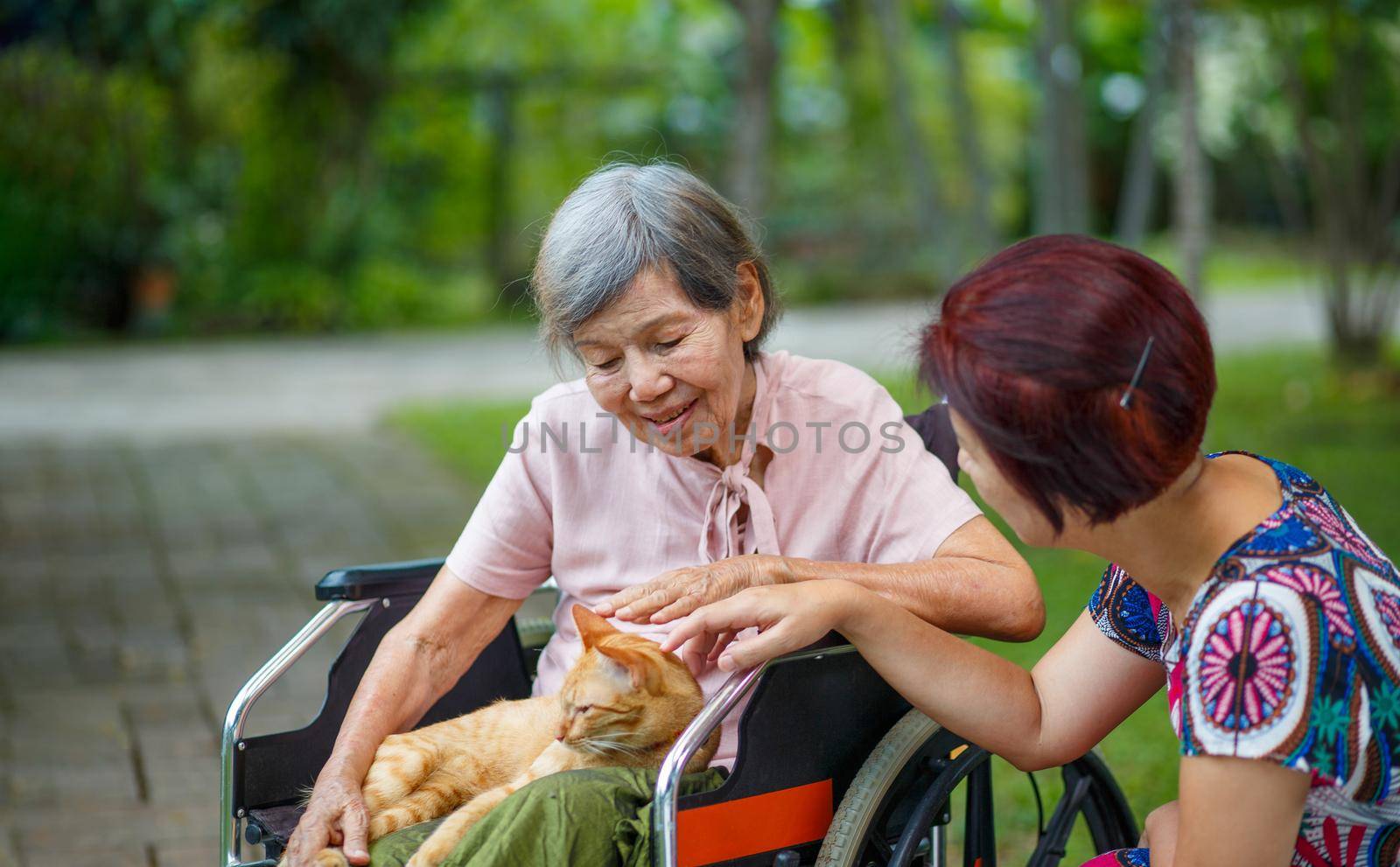 Pet therapy for the Elderly . Pets make patients healtier and happier. by toa55