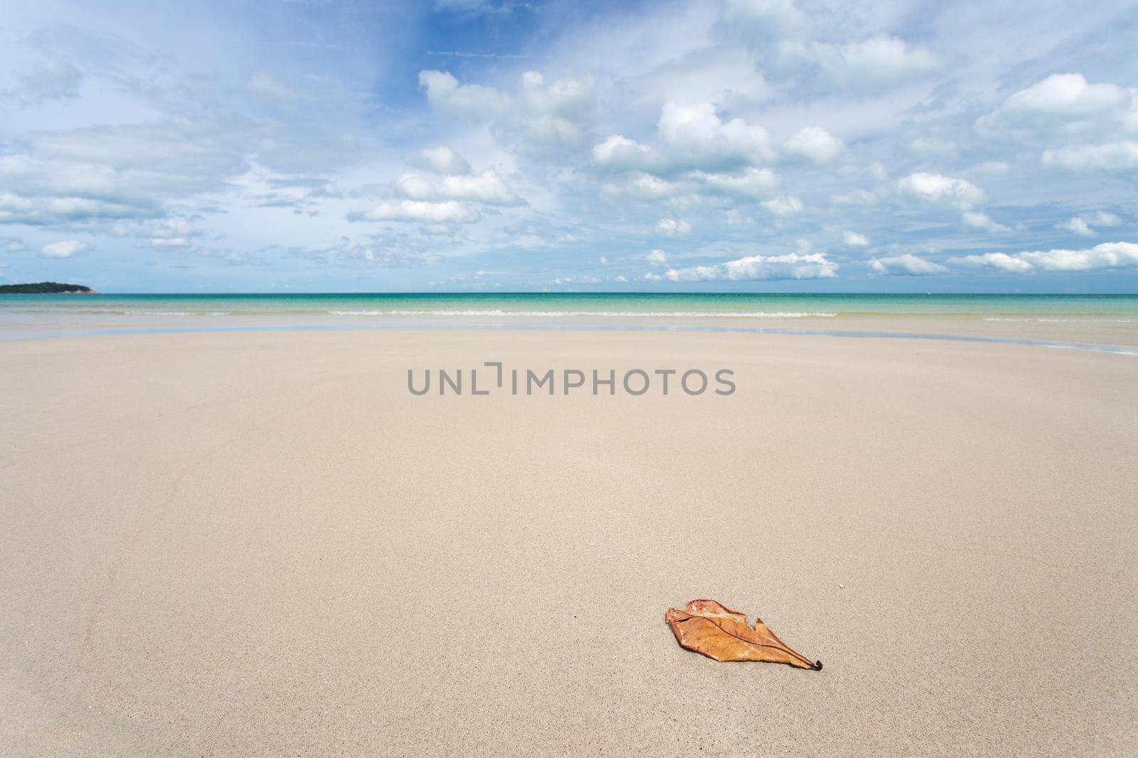 White sand beach Chaweng Beach, Koh Samui, Thailand. After Covid had no tourists Make the sea complete ecological recovery ,nature balance