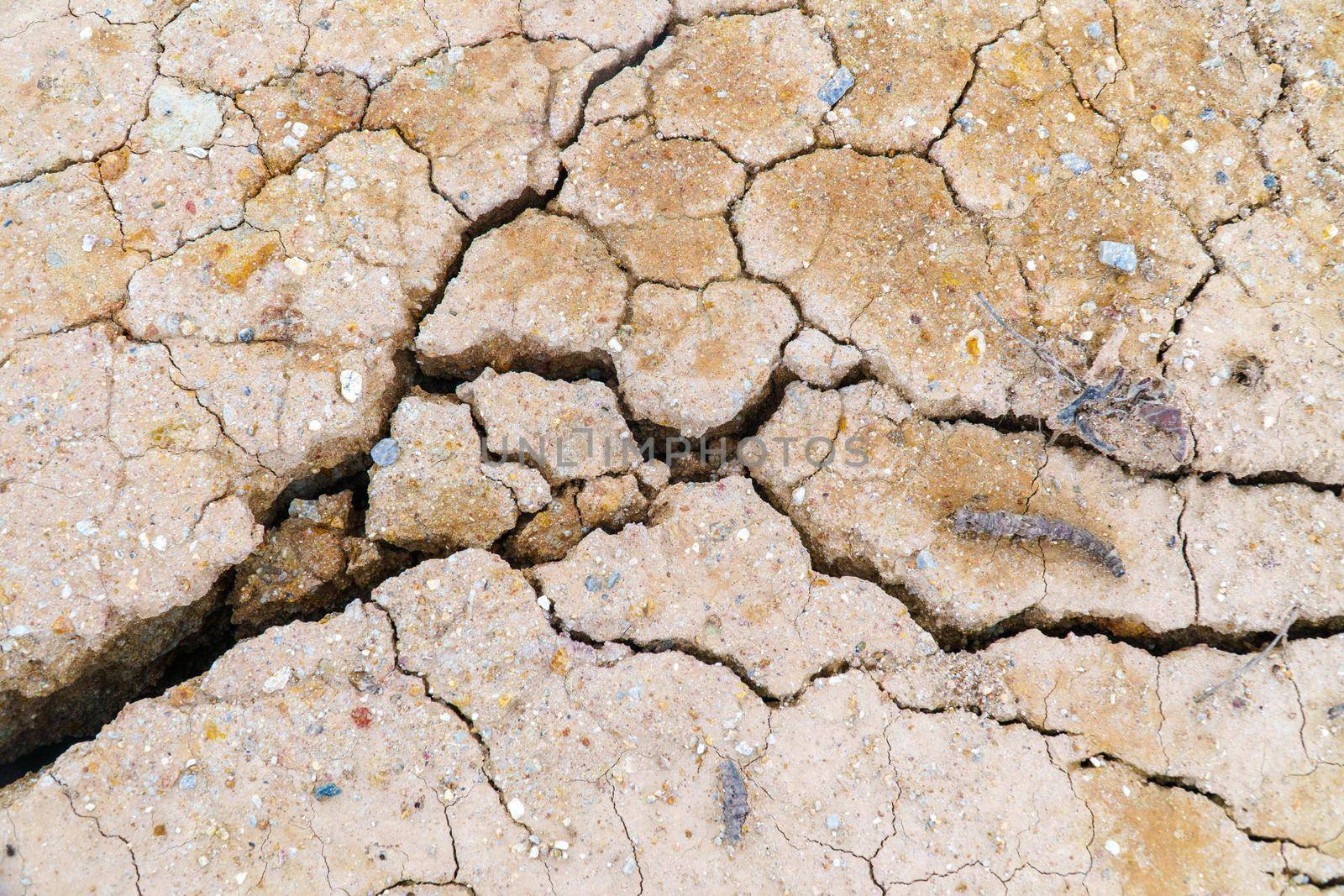 Cracked dirt mud arid ground background by toa55
