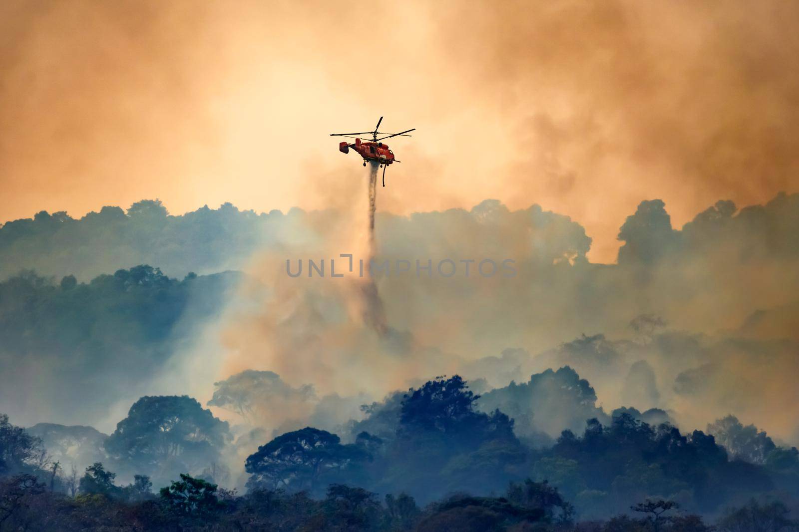 Firefithing helicopter dropping water on forest fire