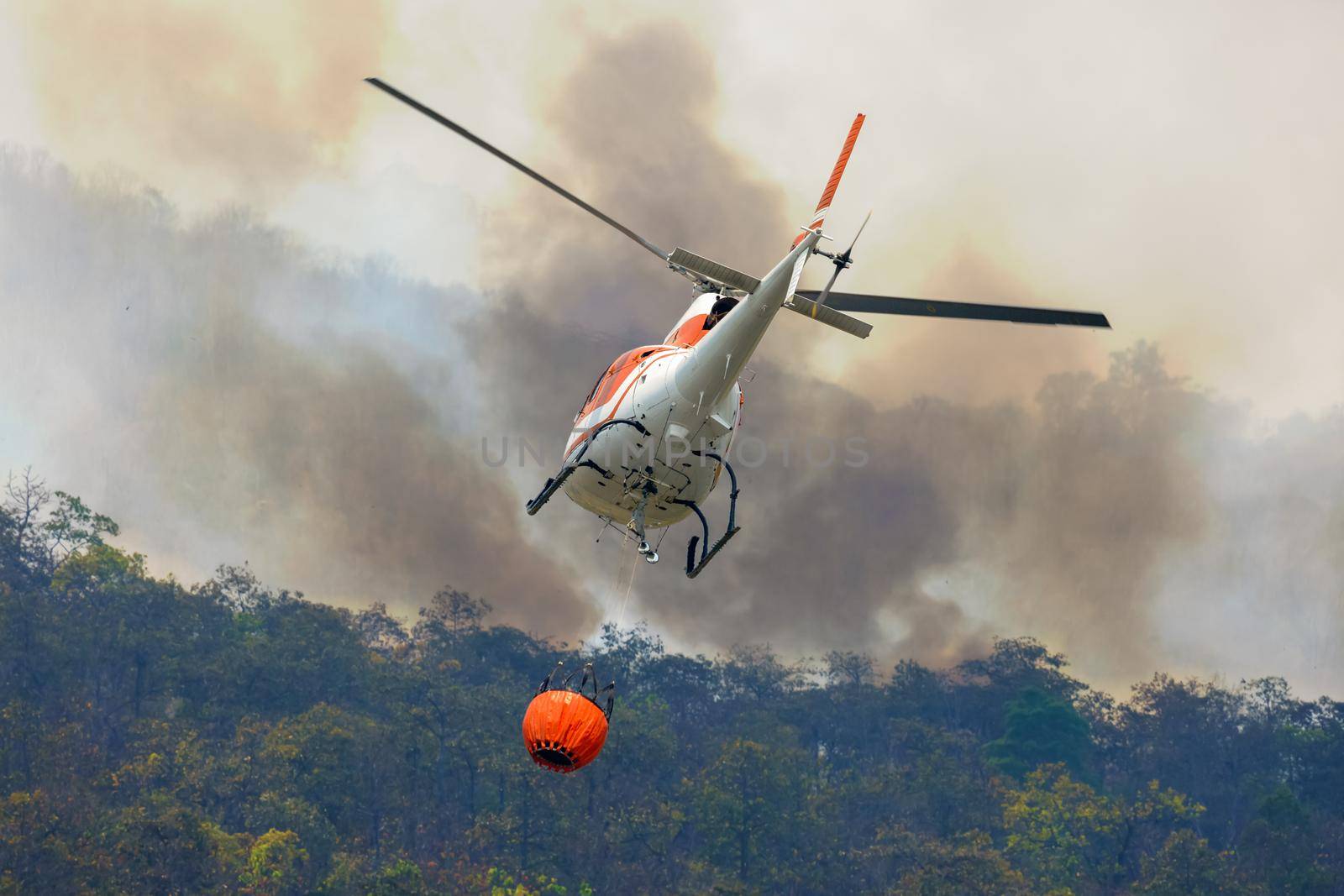 Firefithing helicopter dumps water on forest fire