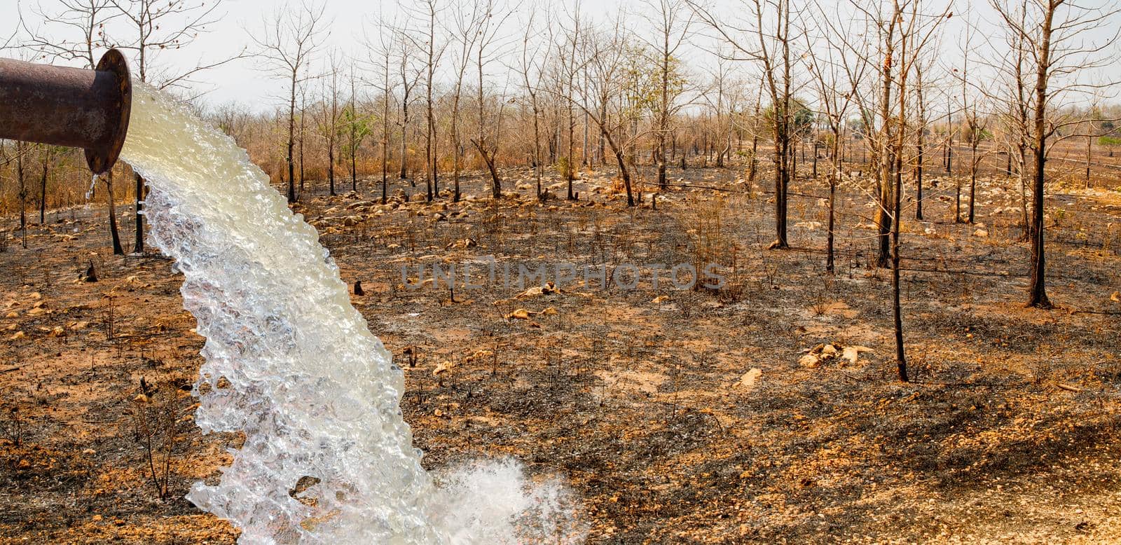 Water fill in arid area by the destruction of forests for shifting cultivation in Thailand. by toa55