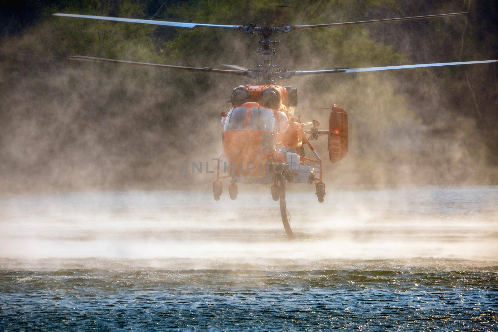 KA-32 Firefighting helicopter is hovering over the pond to refills water