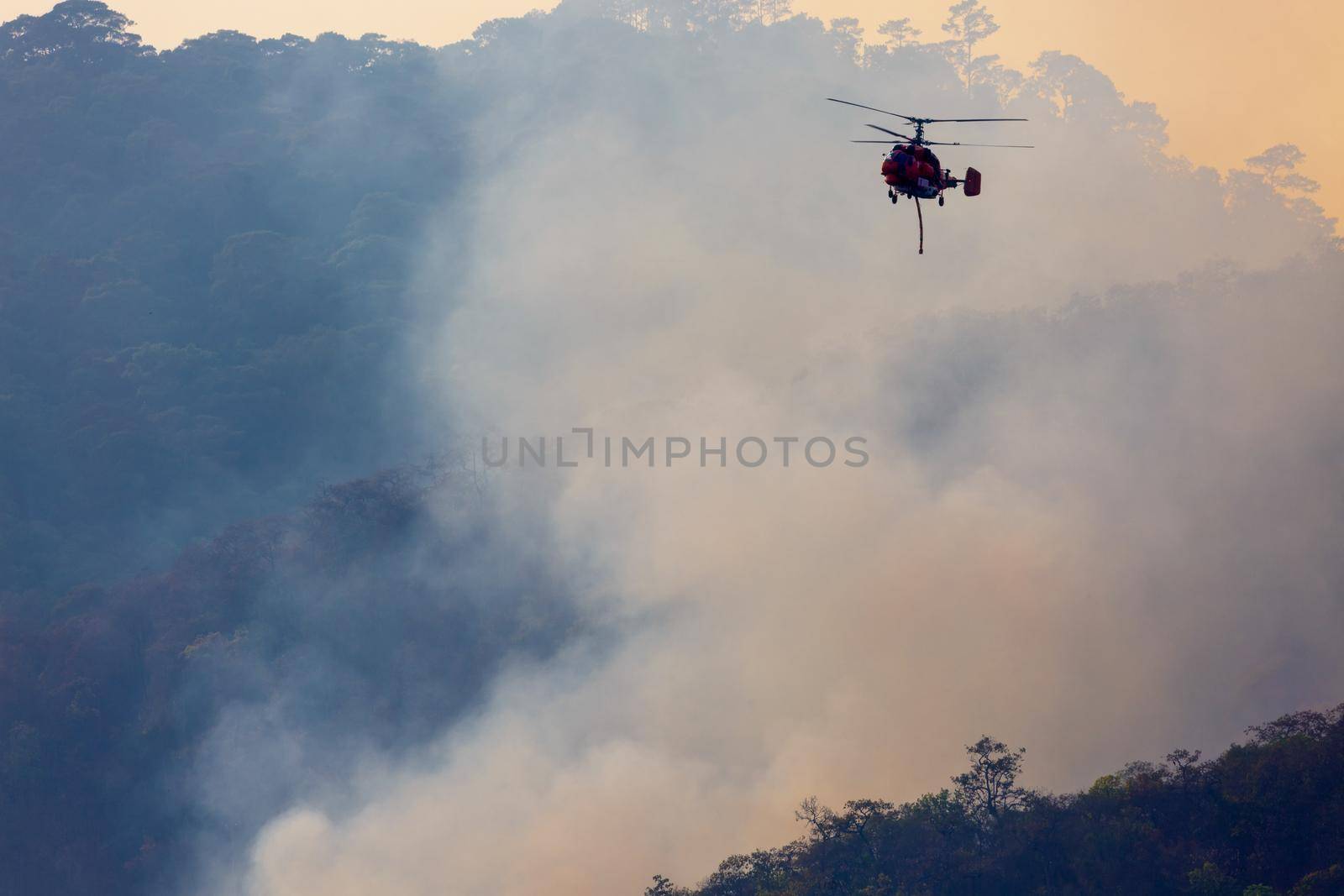 Firefighting helicopter dropping water on forest fire by toa55