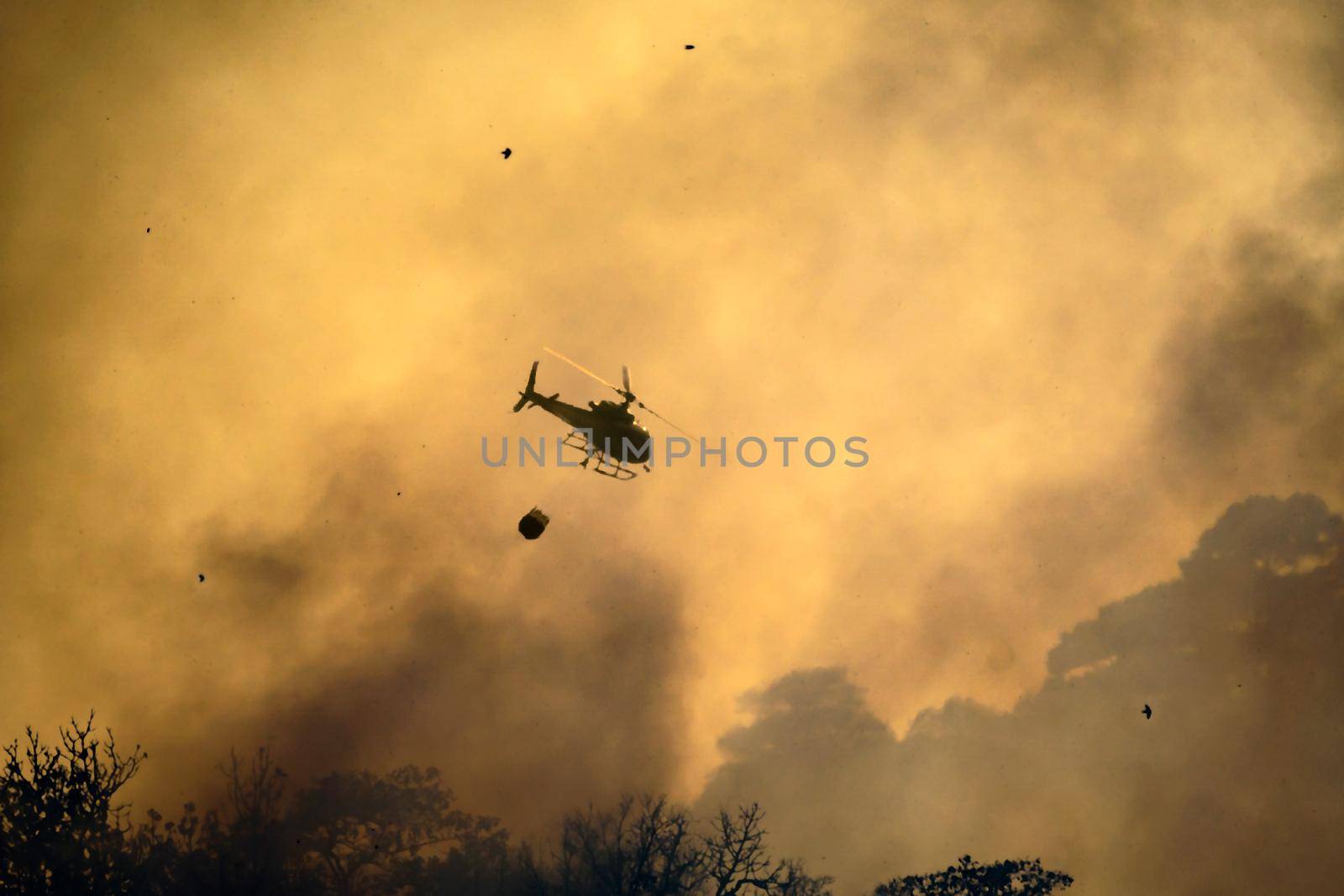 Helicopter dumping water on forest fire