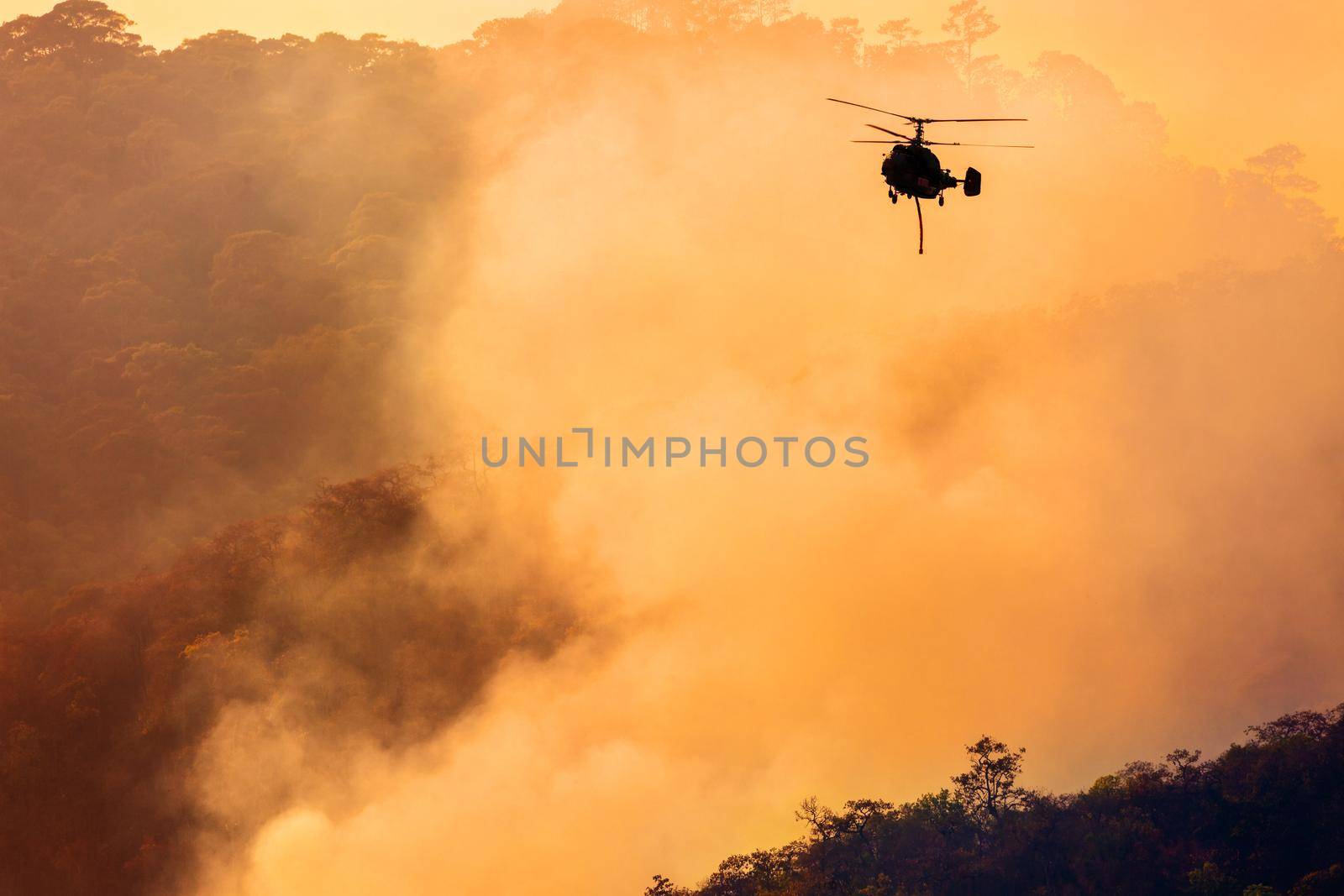 Firefighting helicopter dropping water on forest fire by toa55