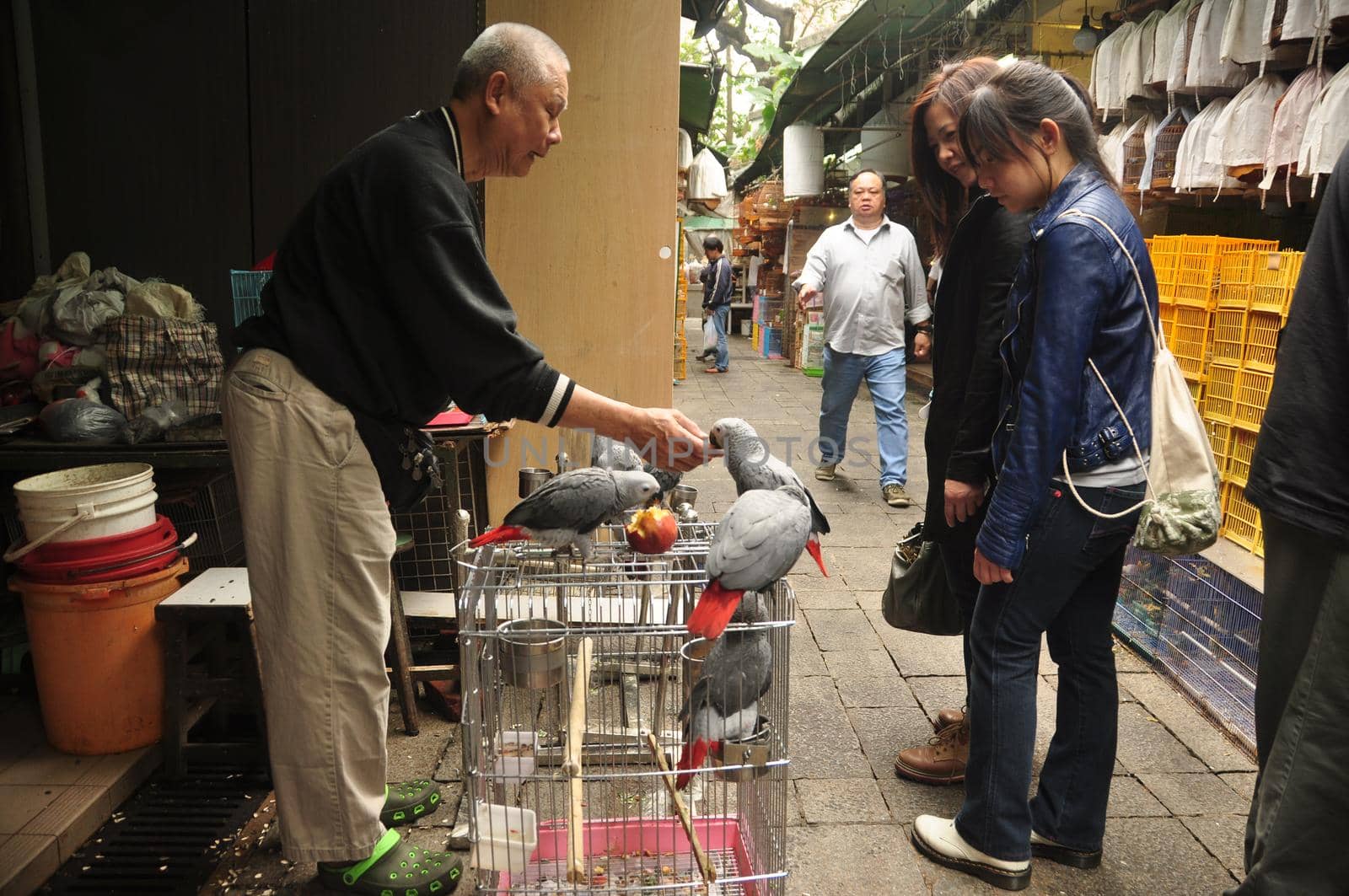 HONG KONG - 23th FEBRUARY, 2015 Side view of women walking on bird market and talking to vendor selling birds, Vendor and buyers on bird market