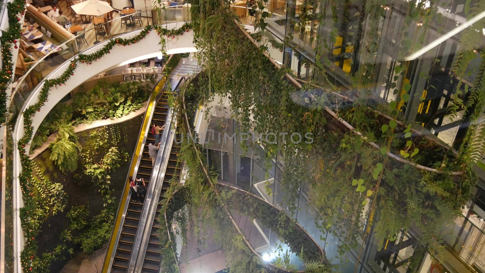 BANGKOK, THAILAND - 18 DECEMBER, 2018 The Emquartier luxury shopping center. Design of mall, green environmentally friendly concept. hanging garden, futuristic eco architecture. Modern city. Escalator