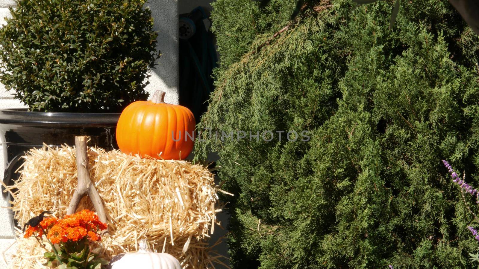 LOS ANGELES, CALIFORNIA, USA - 29 OCT 2019: Scary festival decorations of a house, Happy Halloween holiday. Doorway stairs with jack-o-lantern pumpkin. Traditional party decor. American culture by DogoraSun