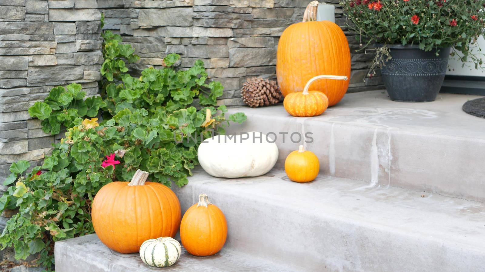 LOS ANGELES, CALIFORNIA, USA - 29 OCT 2019: Scary festival decorations of a house, Happy Halloween holiday. Doorway stairs with jack-o-lantern pumpkin. Traditional party decor. American culture.