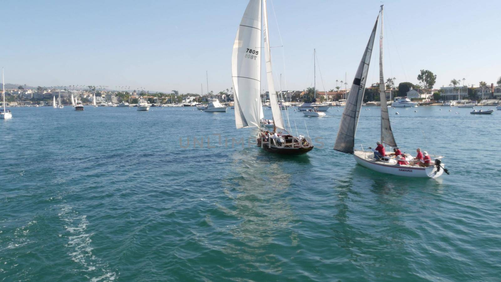 NEWPORT BEACH, CALIFORNIA, USA - 03 NOV 2019: Marina resort with yachts and sailboats, Pacific coast near Los Angeles. Regatta of nautical vessels, sail boat in harbor. Luxury suburb in Orange County by DogoraSun