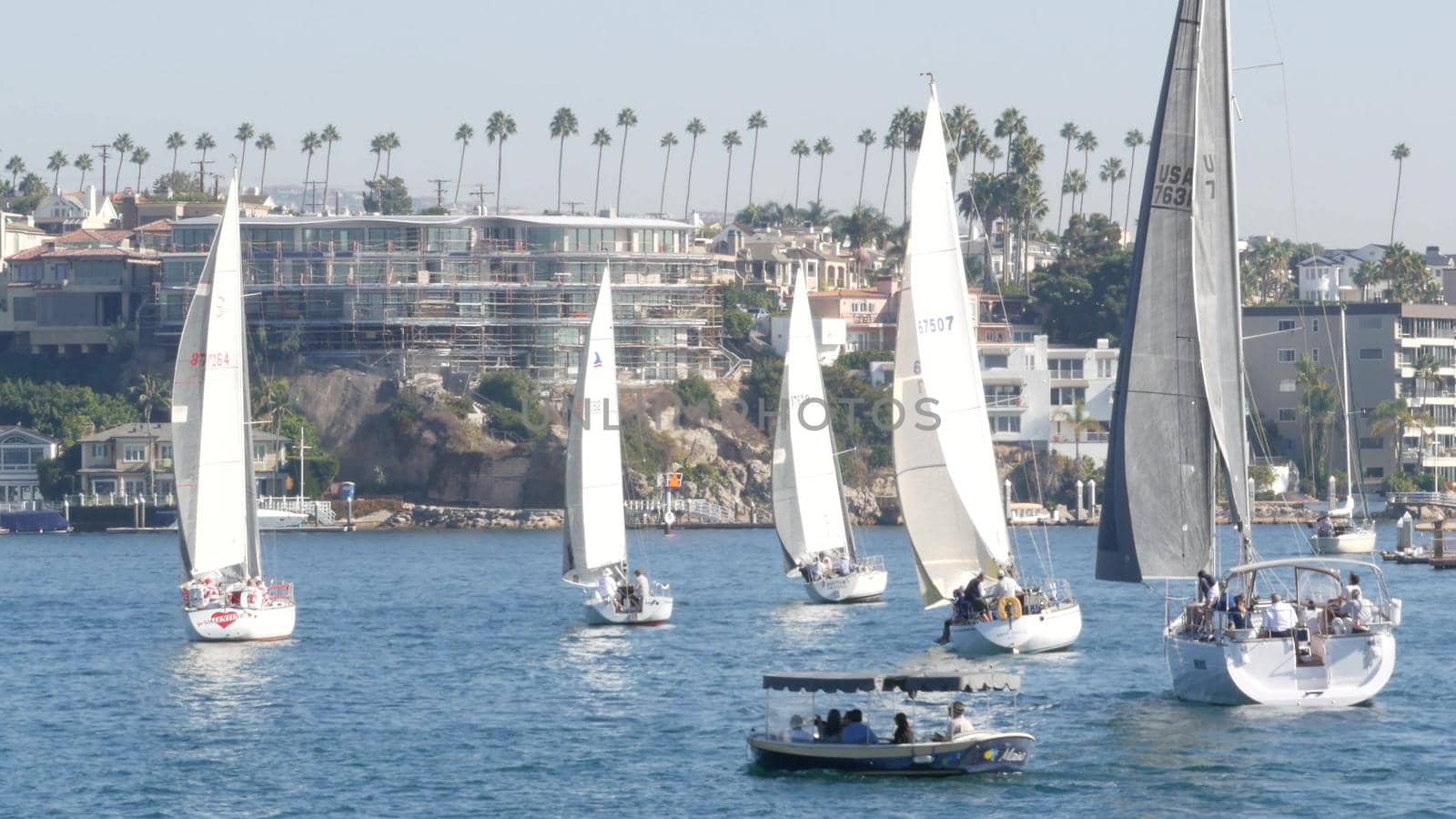 NEWPORT BEACH, CALIFORNIA, USA - 03 NOV 2019: Marina resort with yachts and sailboats, Pacific coast near Los Angeles. Regatta of nautical vessels, sail boat in harbor. Luxury suburb in Orange County by DogoraSun