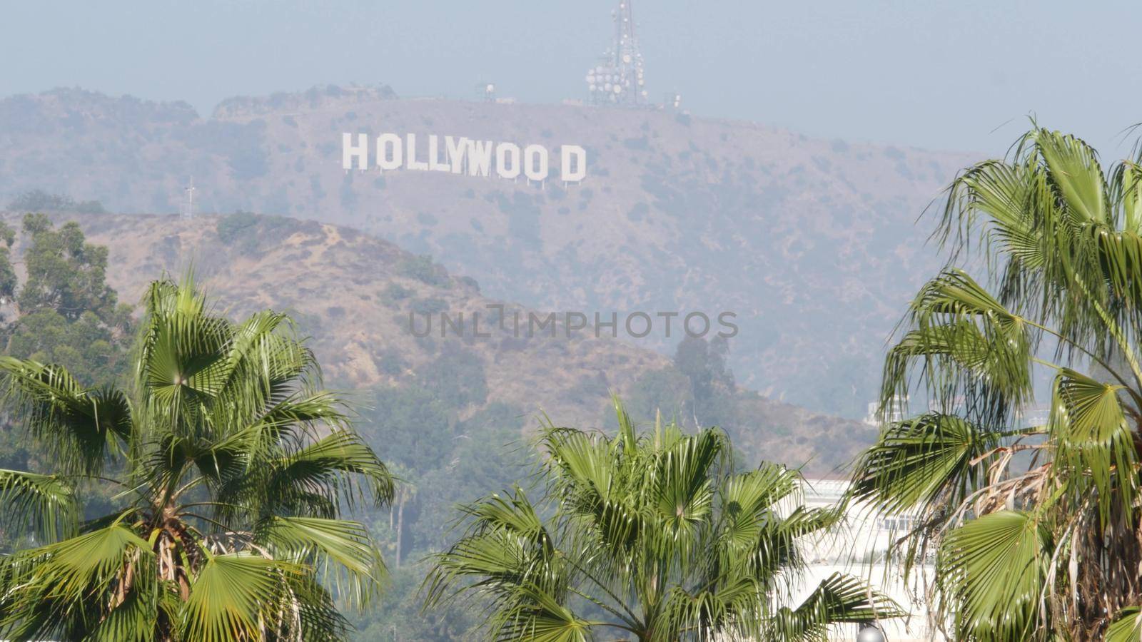 LOS ANGELES, CALIFORNIA, USA - 7 NOV 2019: Iconic Hollywood sign. Big letters on hills as symbol of cinema, movie studios and entertainment industry. Large text on mountain, view thru green leaves by DogoraSun