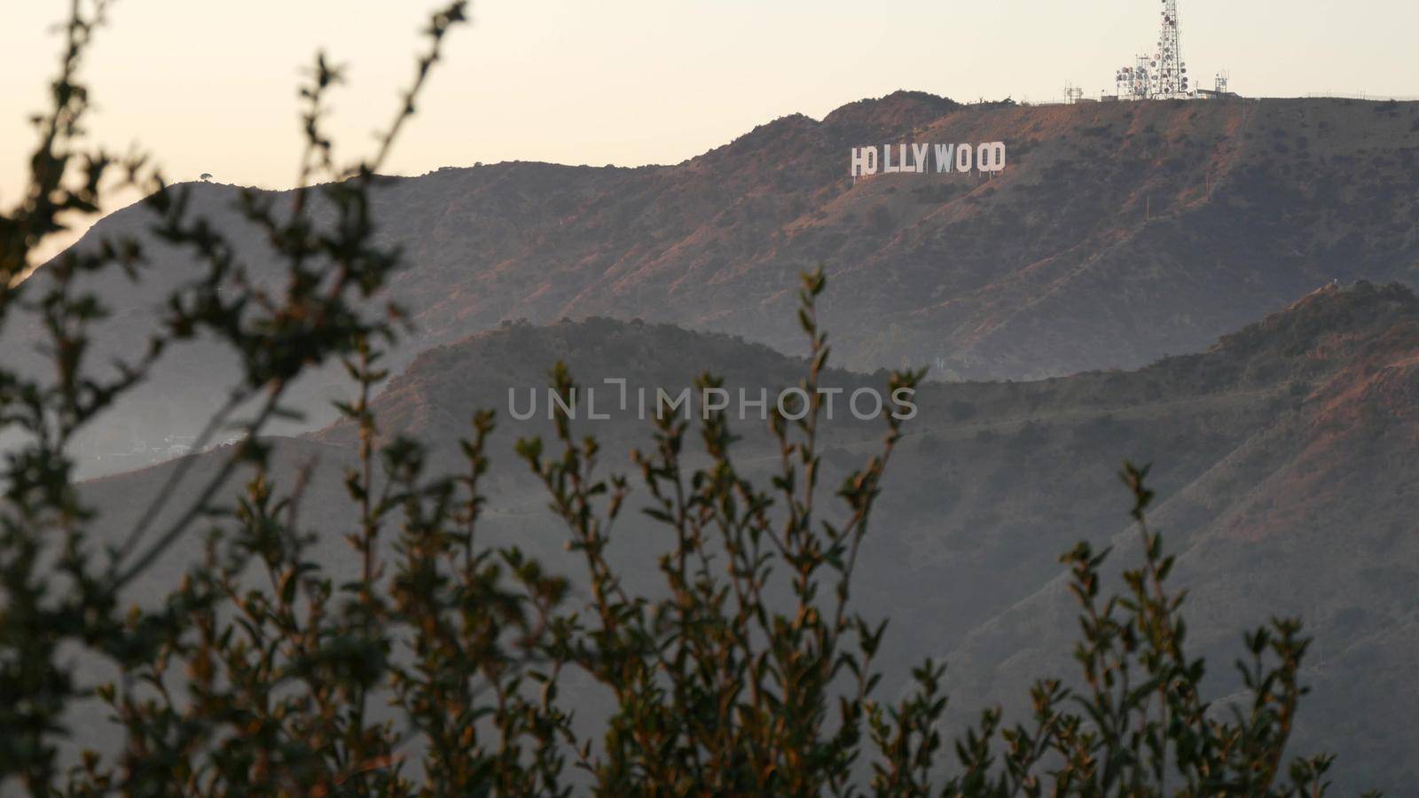 LOS ANGELES, CALIFORNIA, USA - 7 NOV 2019: Iconic Hollywood sign. Big letters on hills as symbol of cinema, movie studios and entertainment industry. Large text on mountain, view thru green leaves by DogoraSun