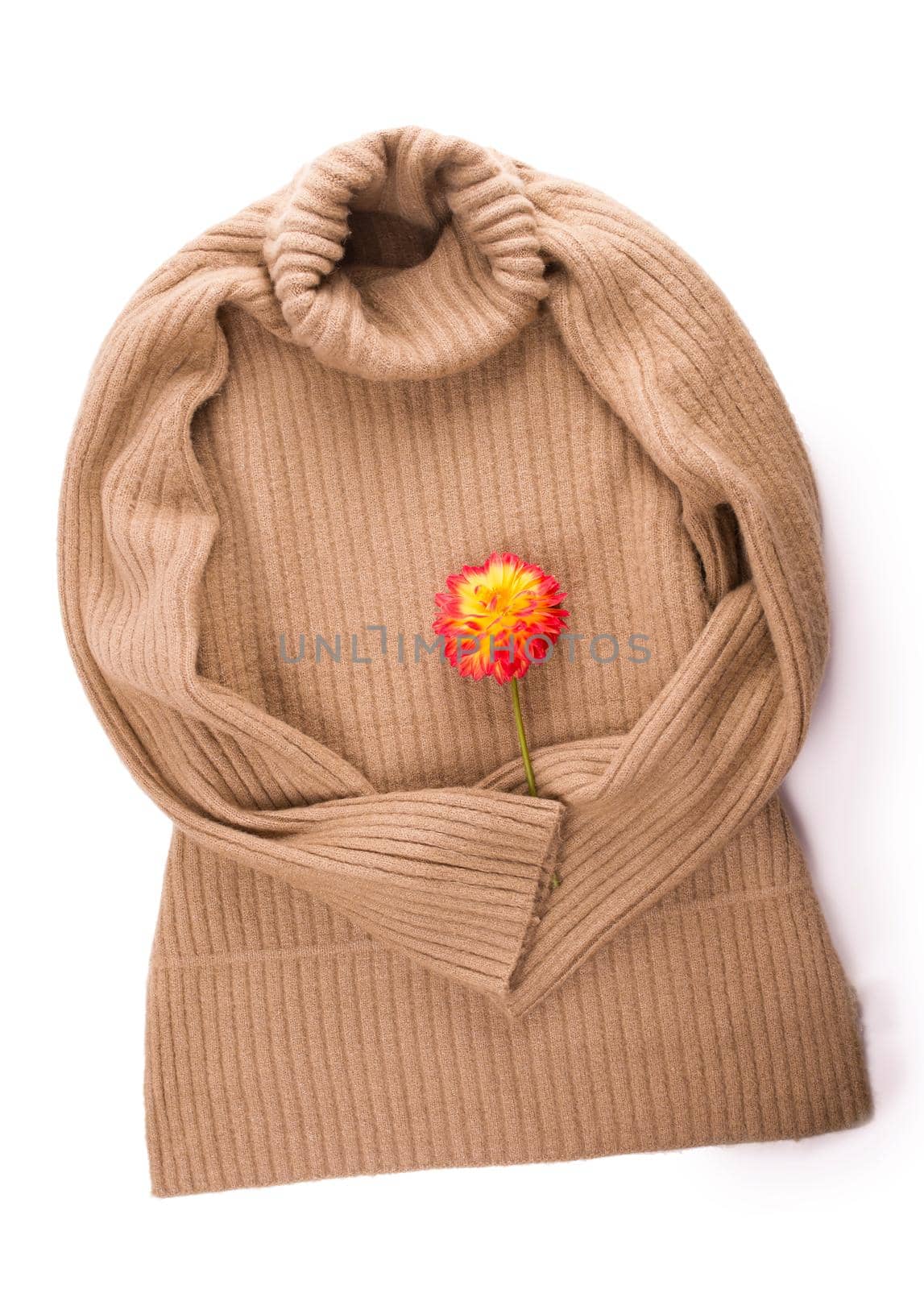 redhead woolen sweater and autumn flowers on white background