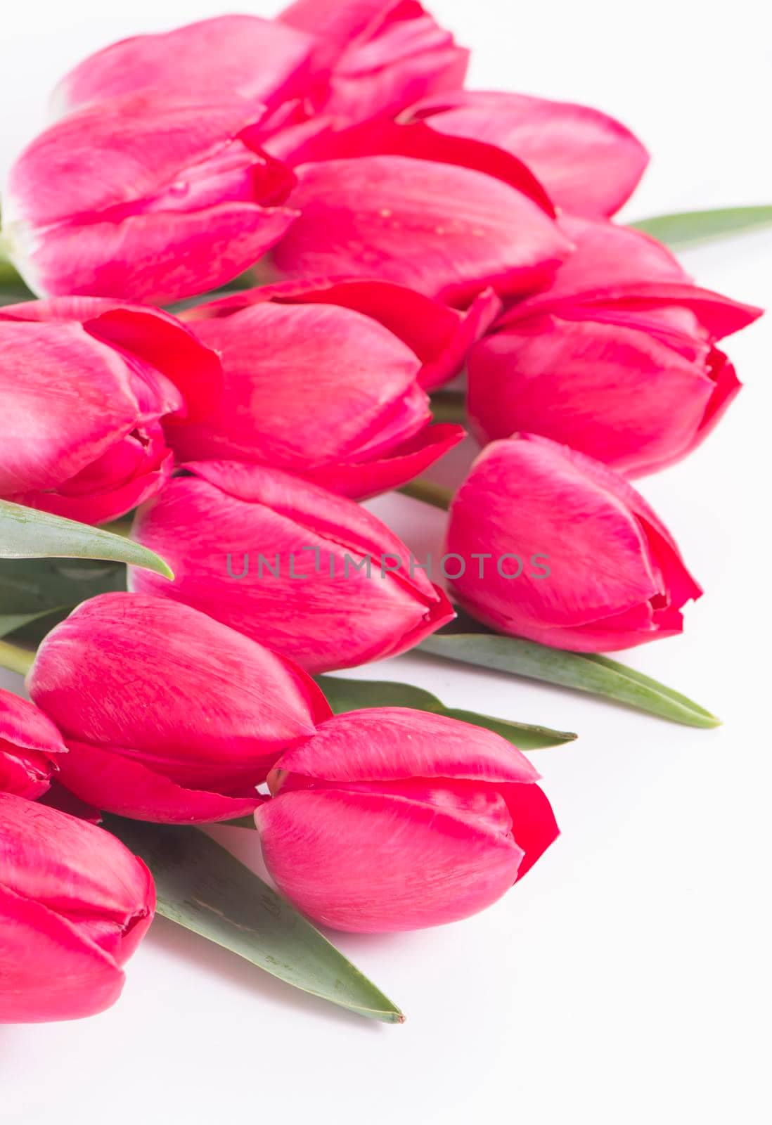 Pink tulips bouquet isolated on white background. by aprilphoto