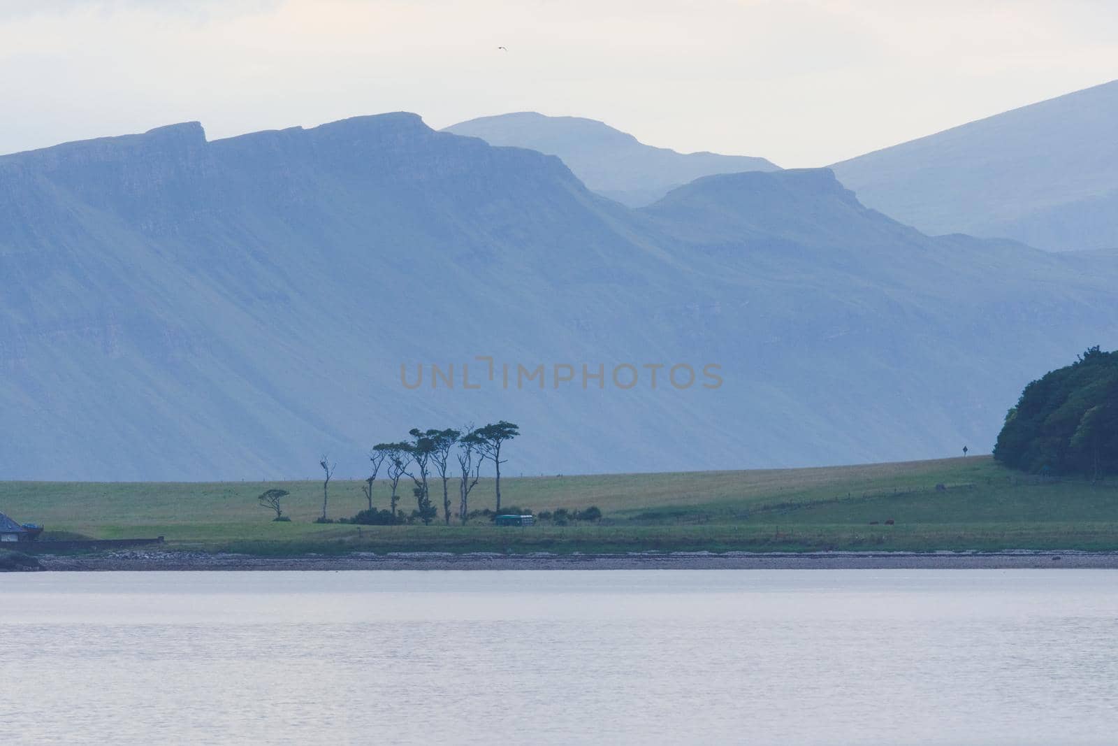 Dramatic scottish coastal cliffs, part of a telephoto landscape behind an unusual bunch of trees on the isle of raasay. Blue and green color tone.