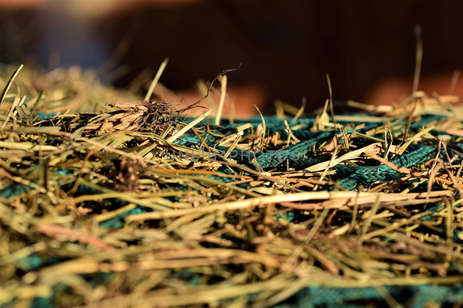 Close-up of hay under a green hay against a blurred background