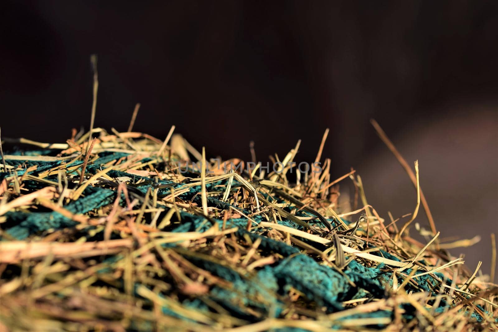 Close-up of hay under a green hay against a blurred background