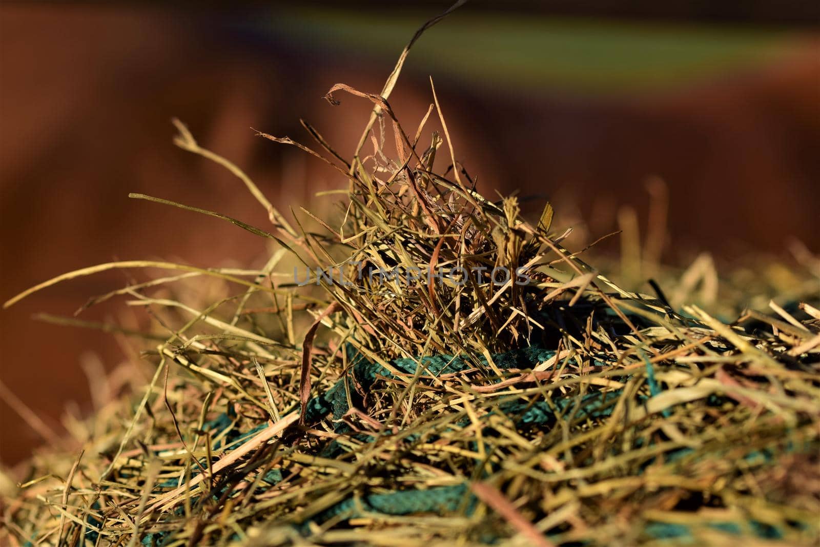 Close-up of hay under a green hay against a blurred brown background