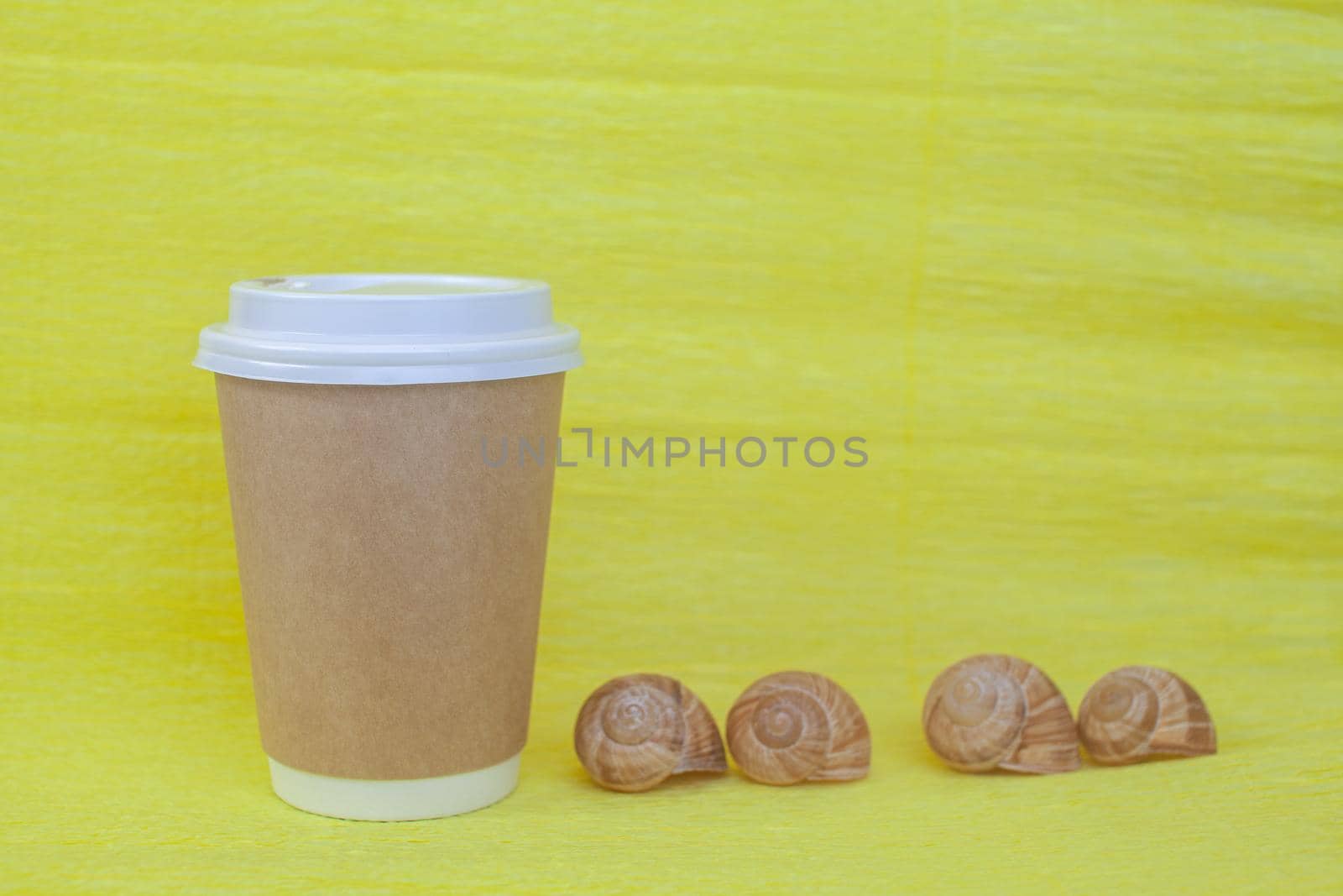 A paper cup of coffee covered with a white lid and next to it sea shells on a yellow background. There is a place for the text.