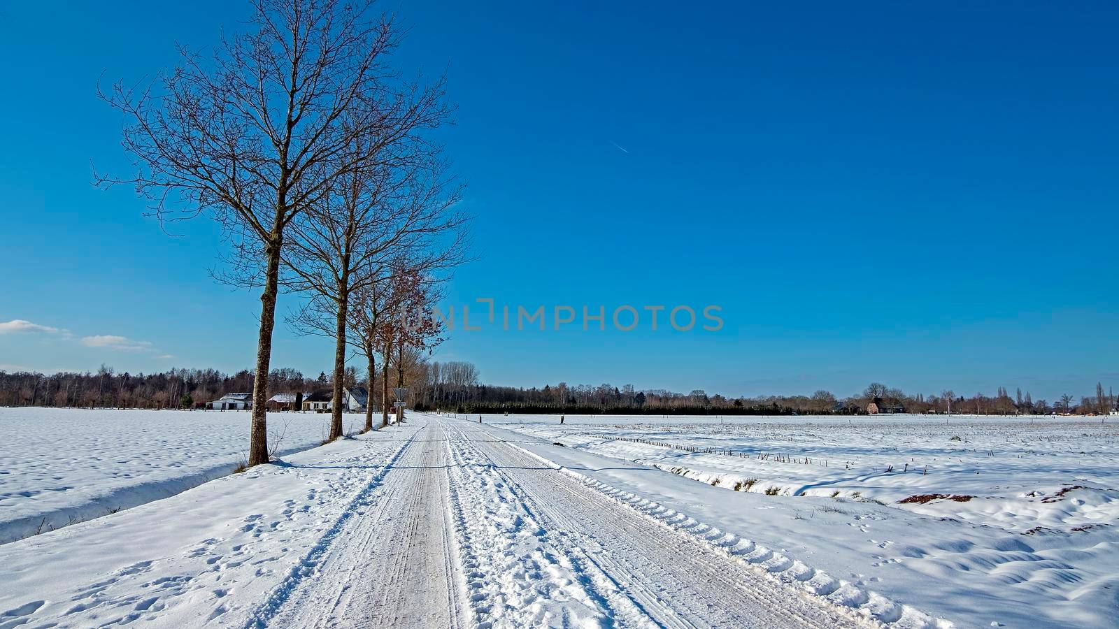 Typical dutch winter landscape in the Netherlands