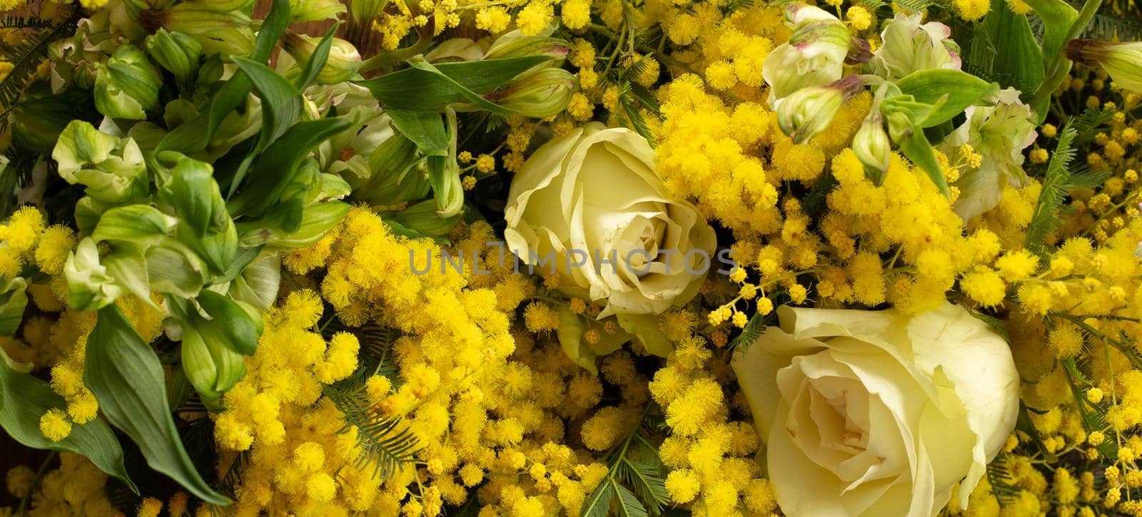 Flowerer background in yellow colour, Yellow Spring flower mimosa, white rose. Close up. Flat lay border