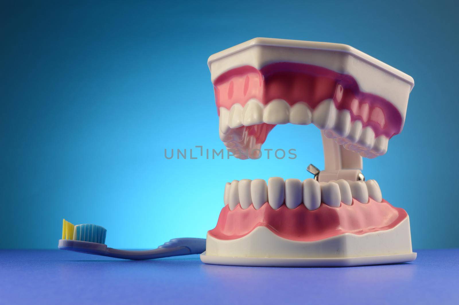 A display of dental teeth and a toothbrush over blue for dentist purposes.