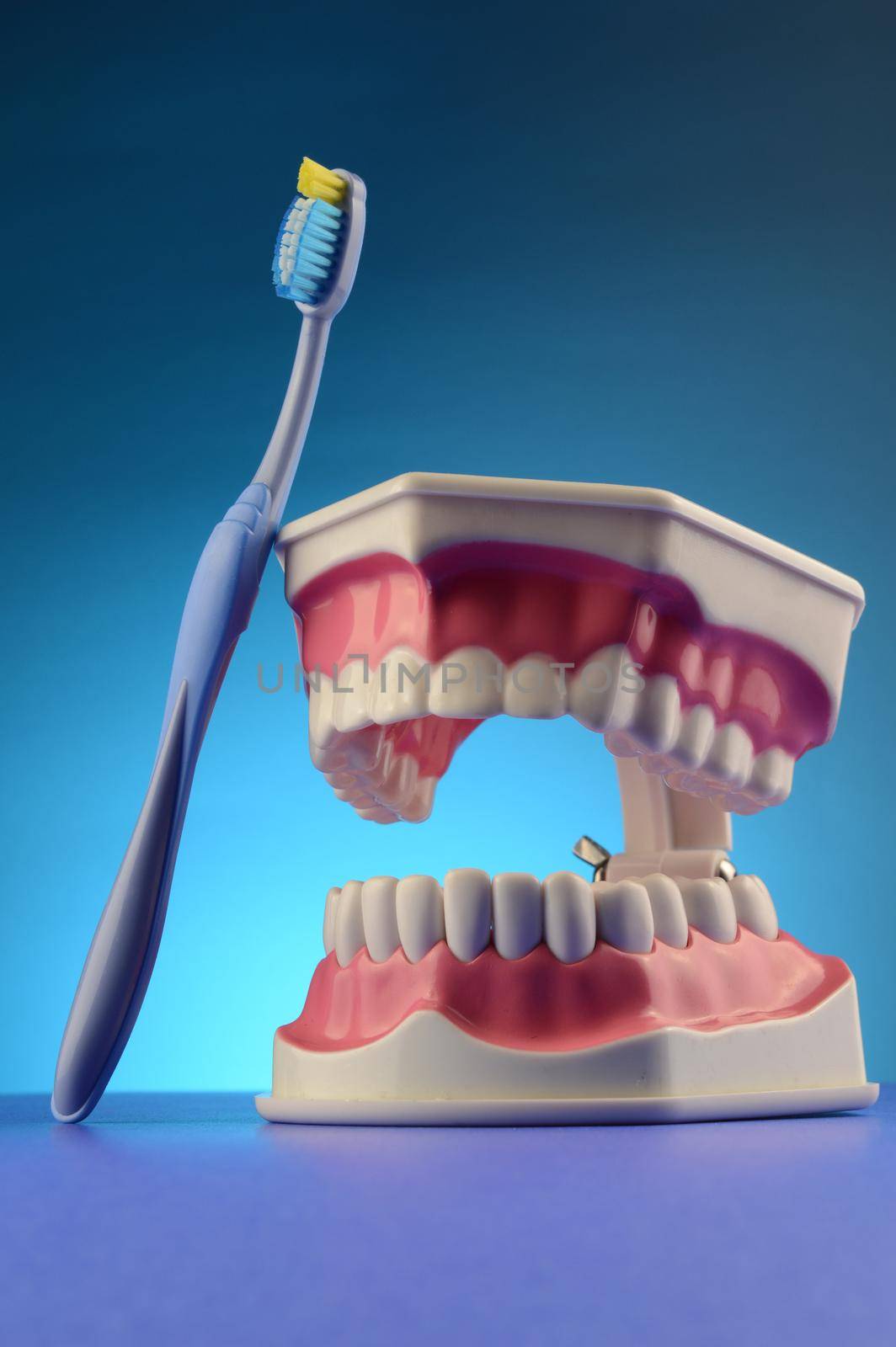 A display of dental teeth and a toothbrush over blue for dentist purposes.