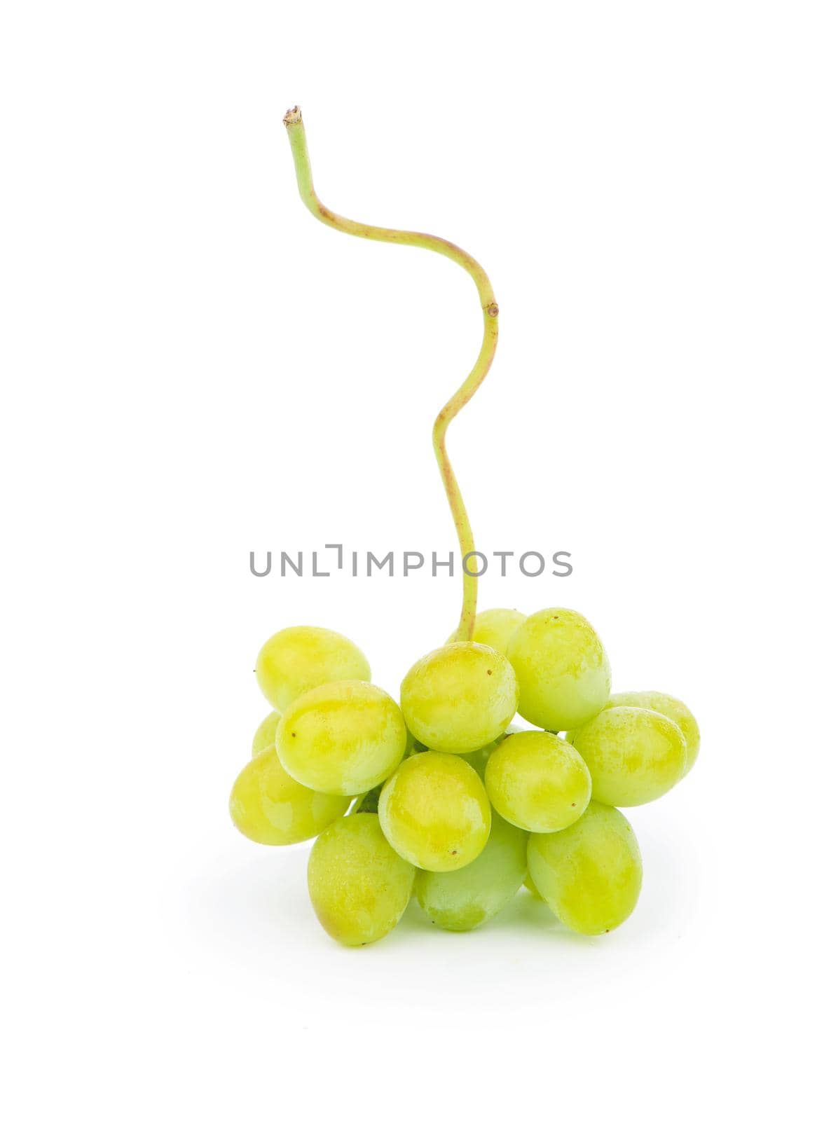 Green grape with leaves isolated on white. With clipping path.