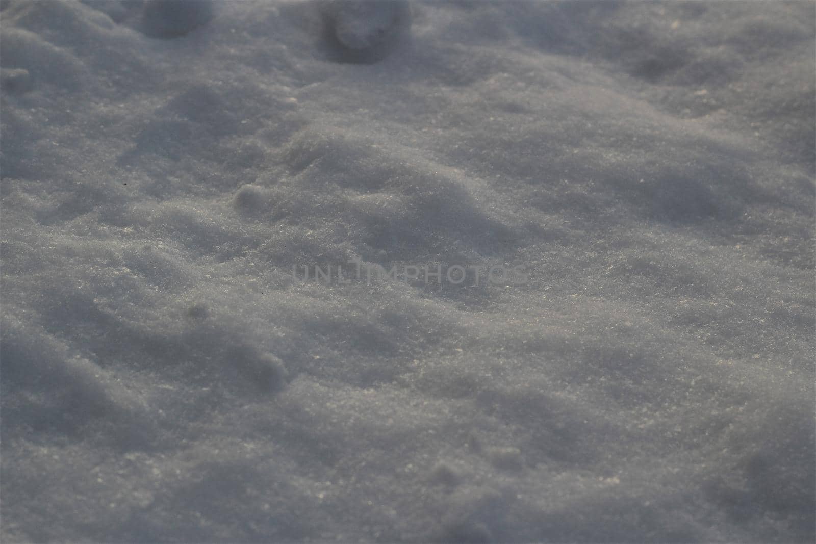 close-up of snow in the evening