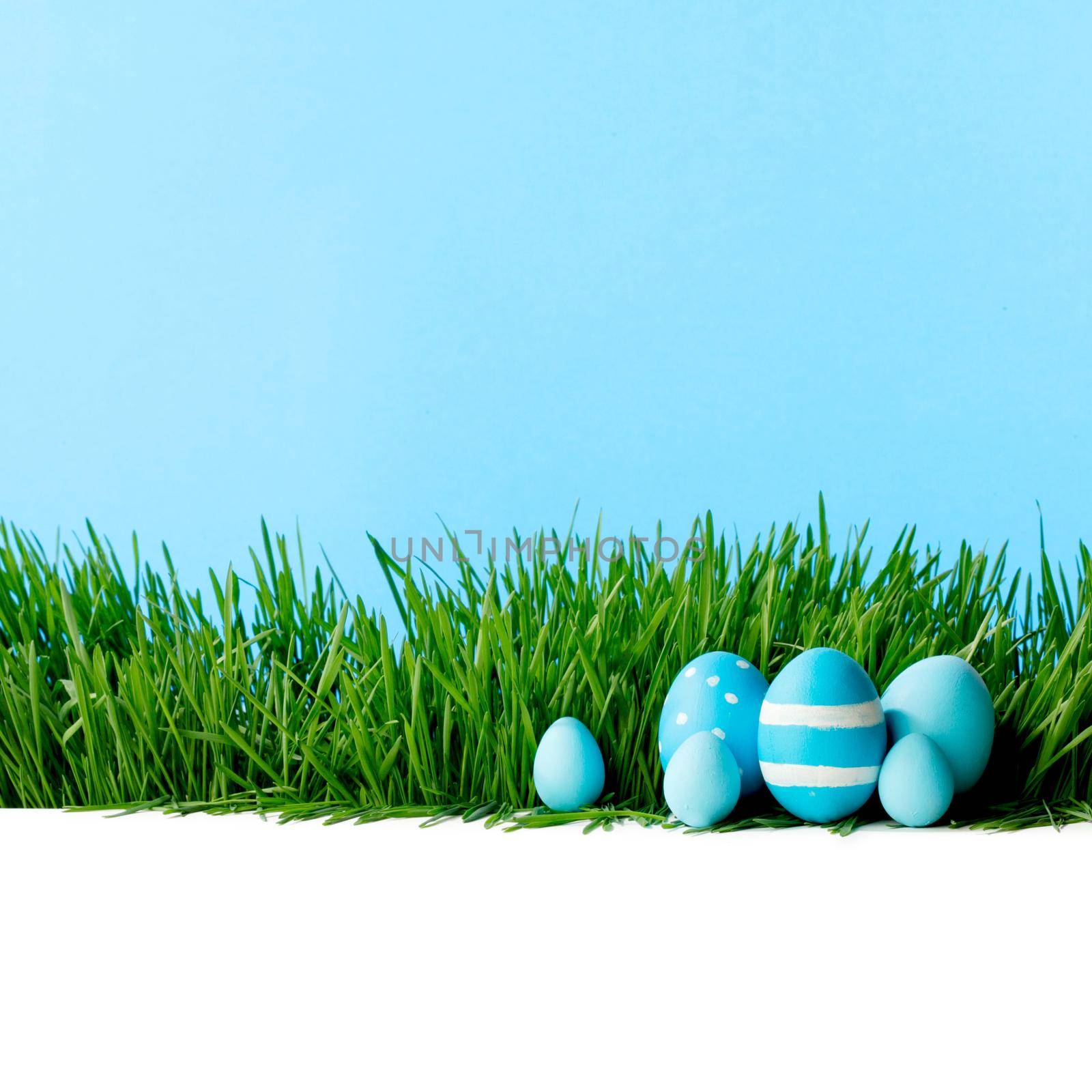 Row of Easter Eggs in grass by Yellowj