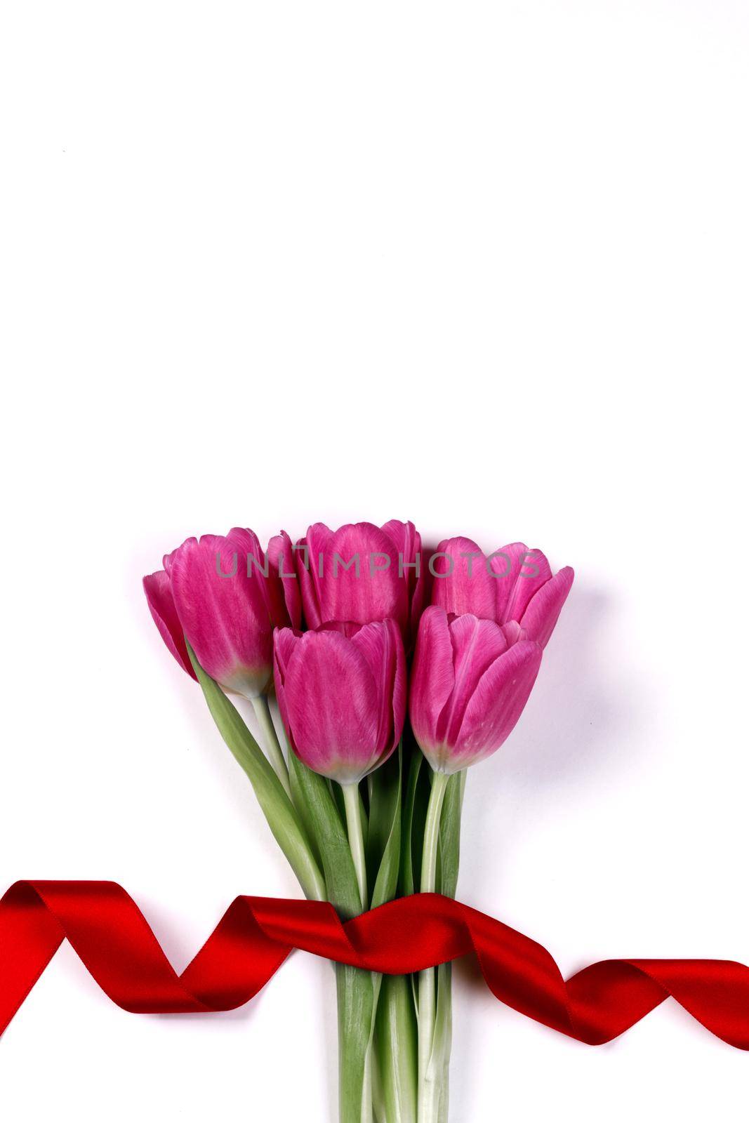 Valentines day pink tulip flowers and red ribbon isolated on white background